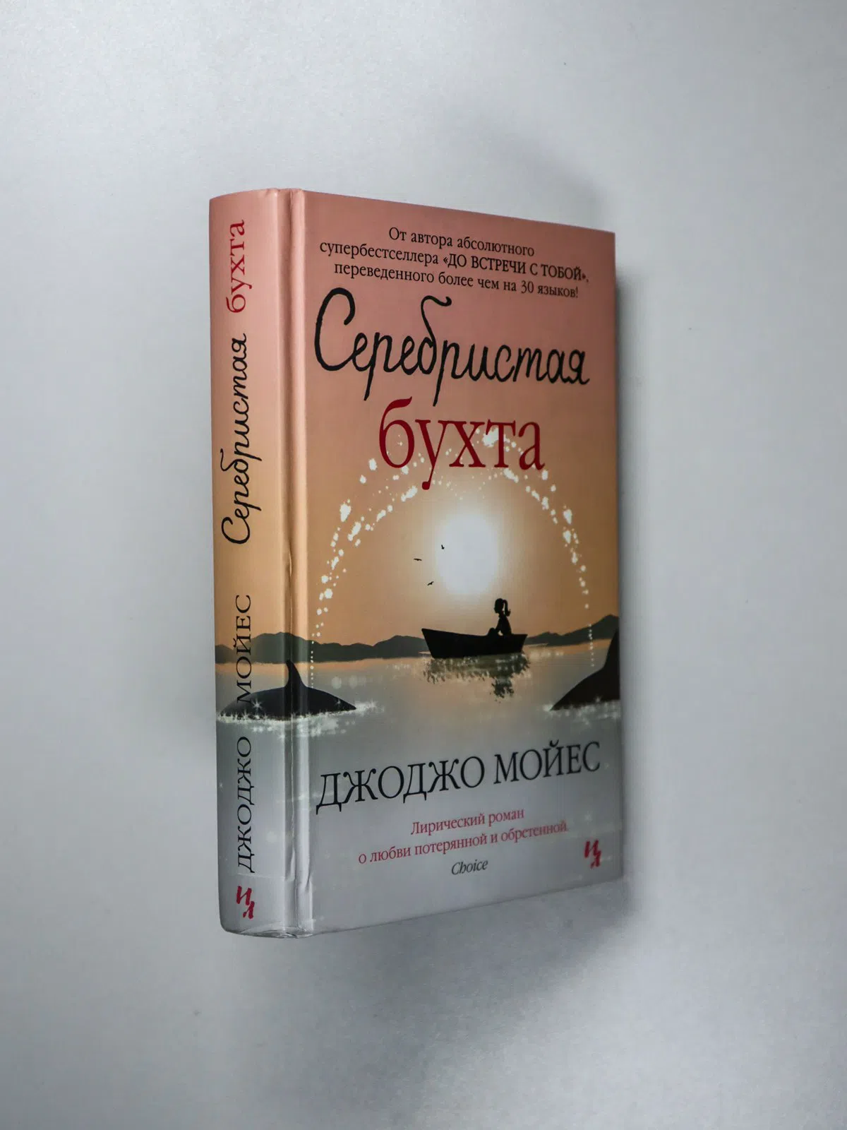 Мойес Джоджо. Серебристая бухта