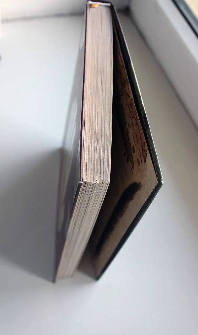 Хирш А.; Ренцетти Р. Гравити Фолз. Дневник 3