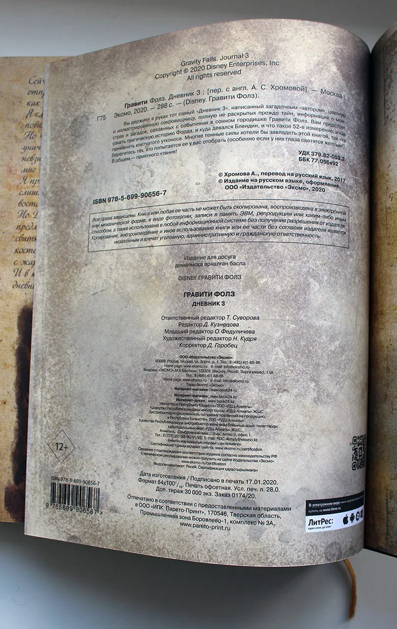 Хирш А.; Ренцетти Р. Гравити Фолз. Дневник 3