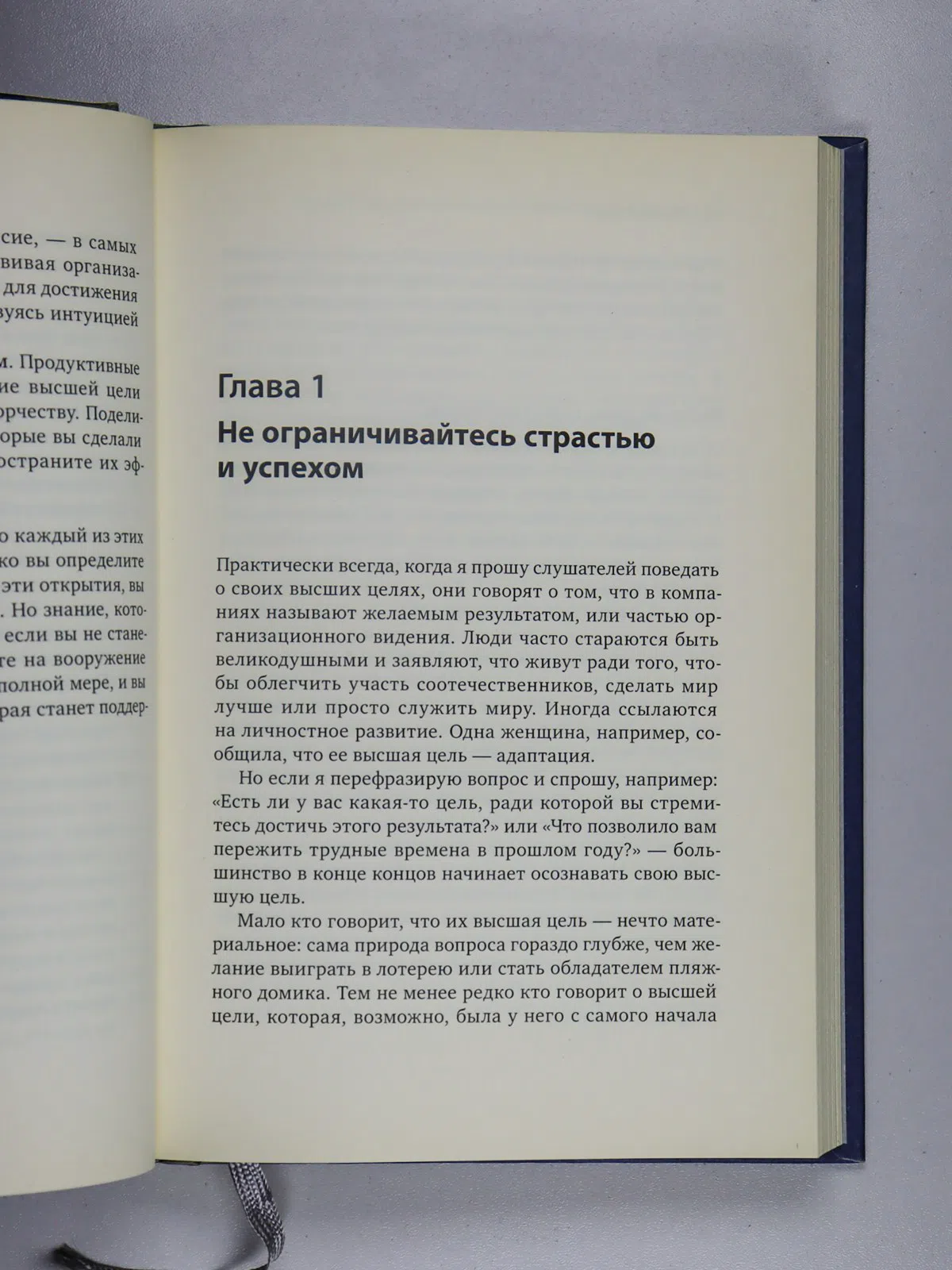 Рэй Майкл. Высшая цель. Секрет, который поддерживает вас каждую минуту