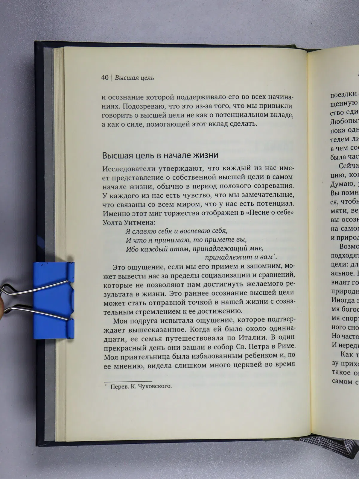 Рэй Майкл. Высшая цель. Секрет, который поддерживает вас каждую минуту