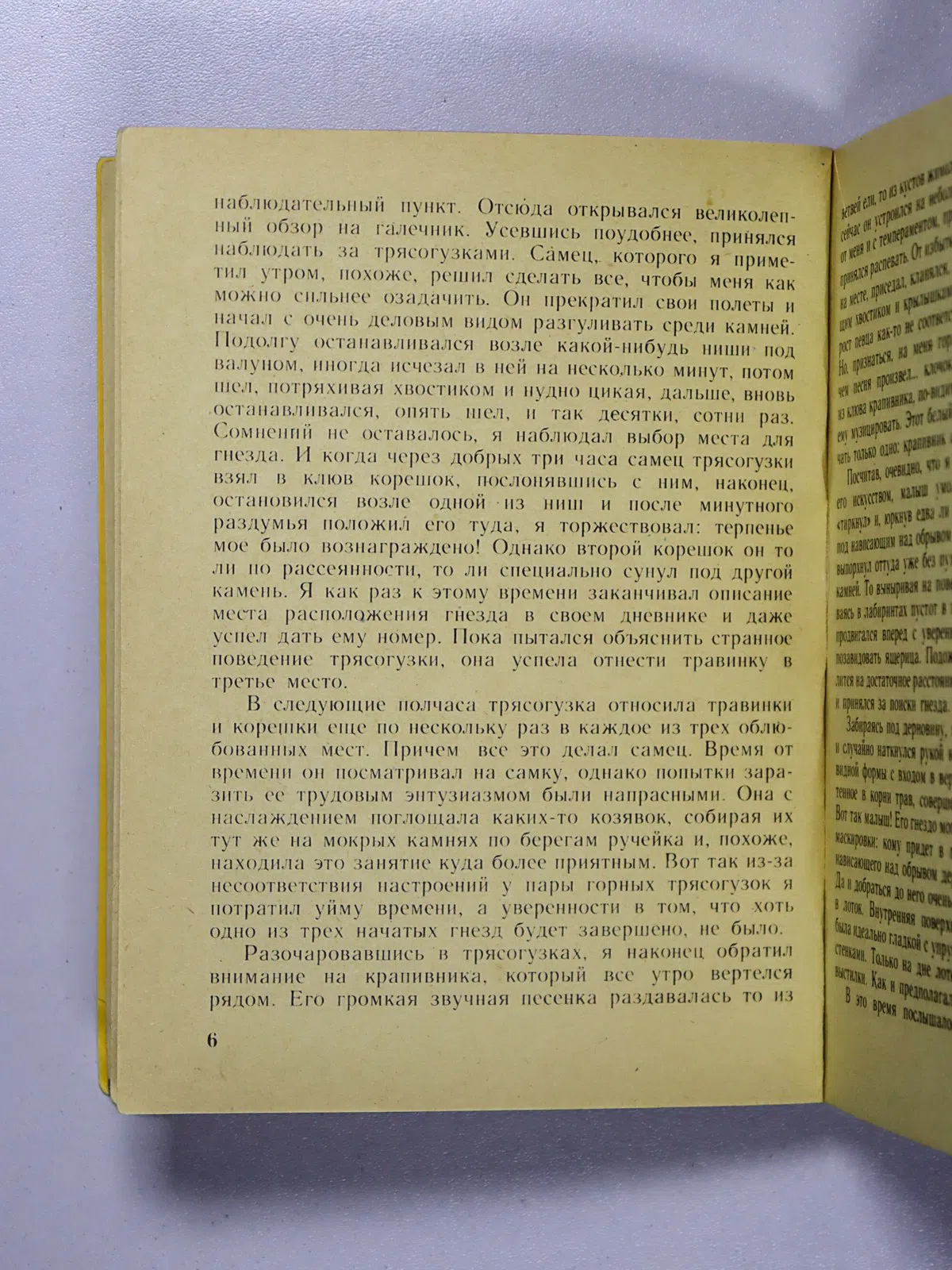 Пфеффер Ральф Гейнтцевич. Наши друзья животные