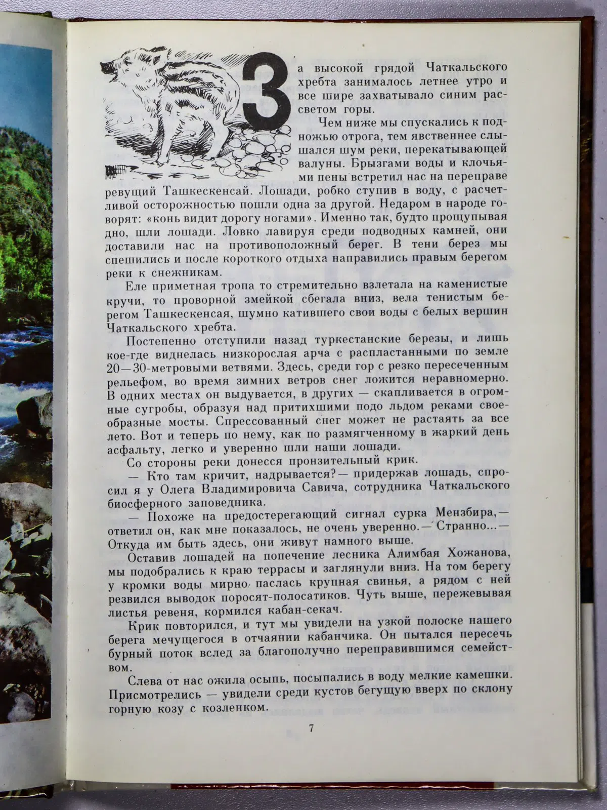 Моисеев Владимир Александрович. Наедине с природой. Рассказы натуралиста