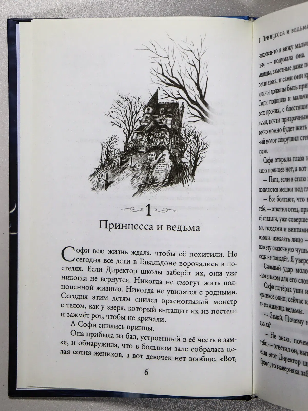 Чайнани Соман. Школа Добра и Зла. Принцесса или ведьма