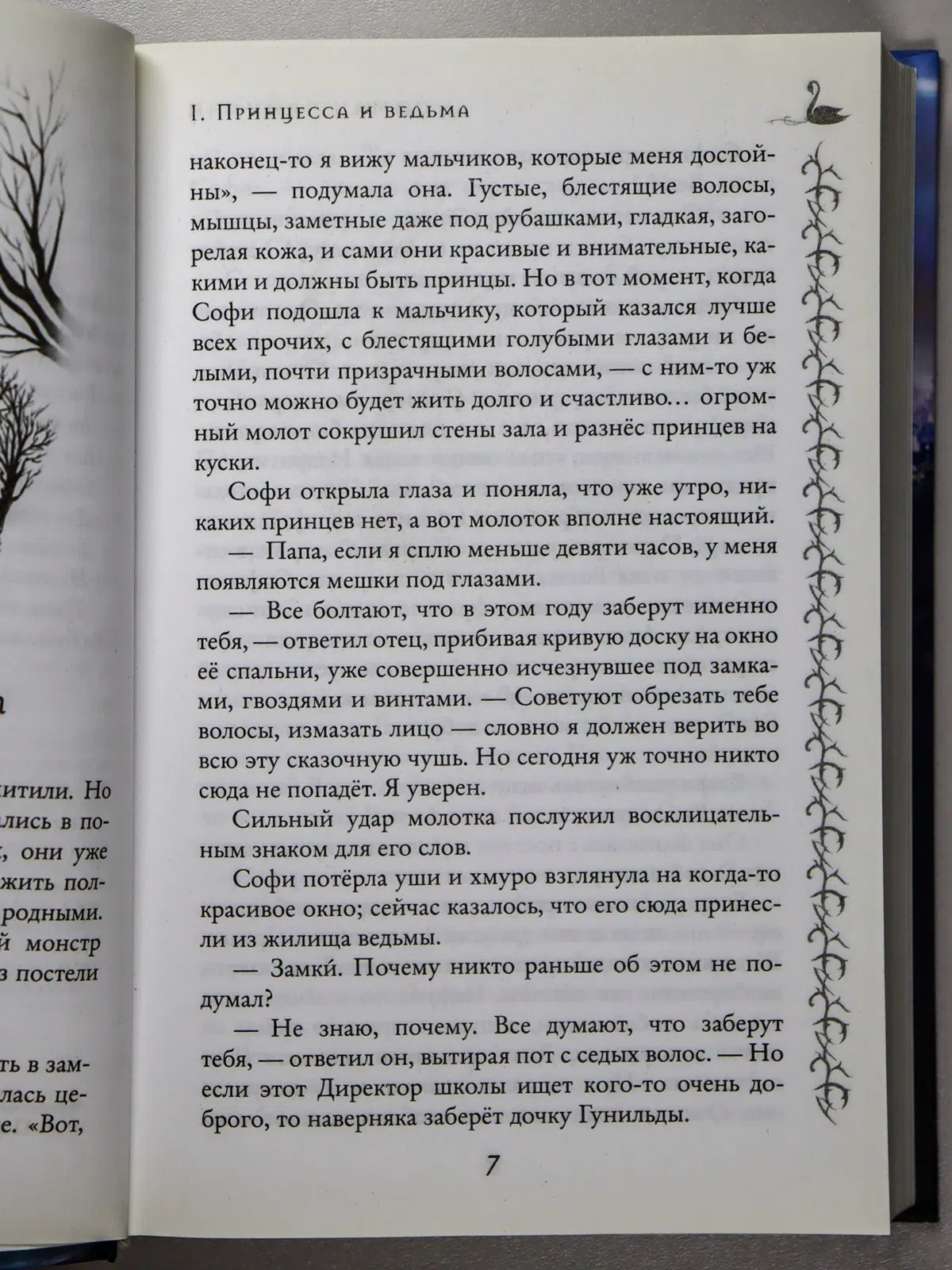 Чайнани Соман. Школа Добра и Зла. Принцесса или ведьма