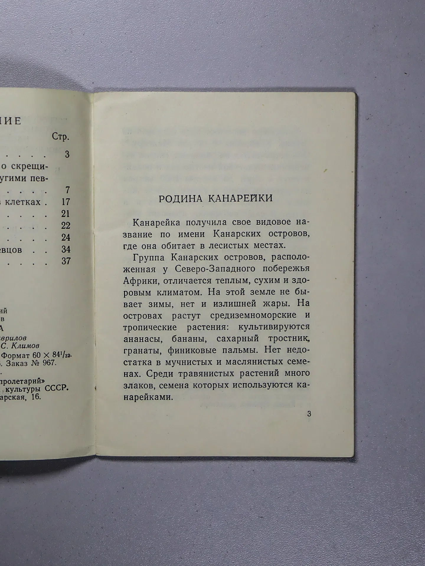 Ржевский Б. М., Смирнов В. И. Канарейка