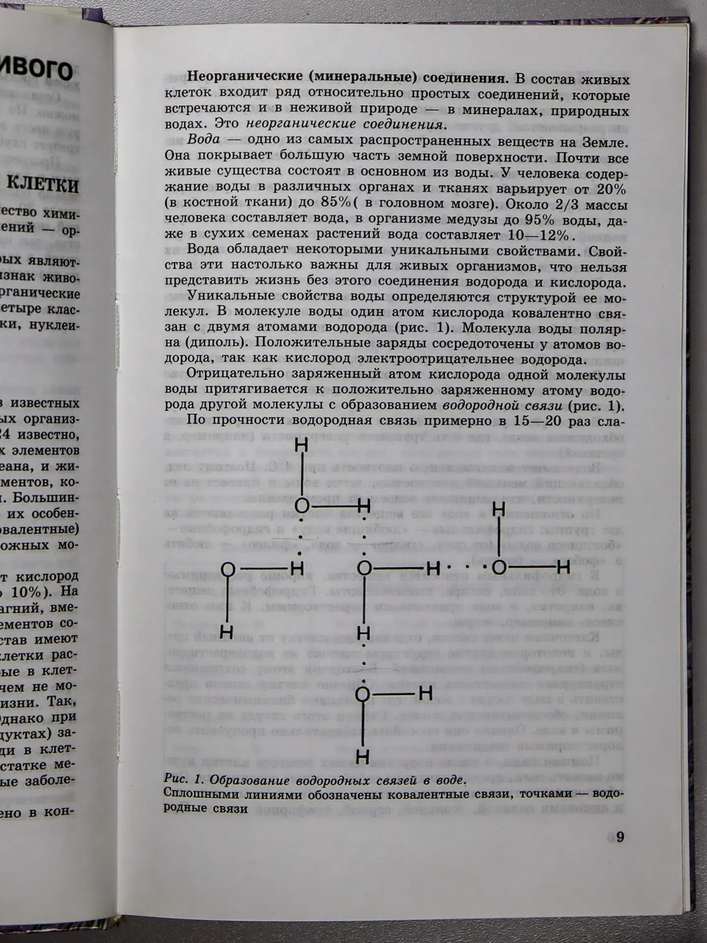 Беляев Д.К. Общая биология. 10–11 классы