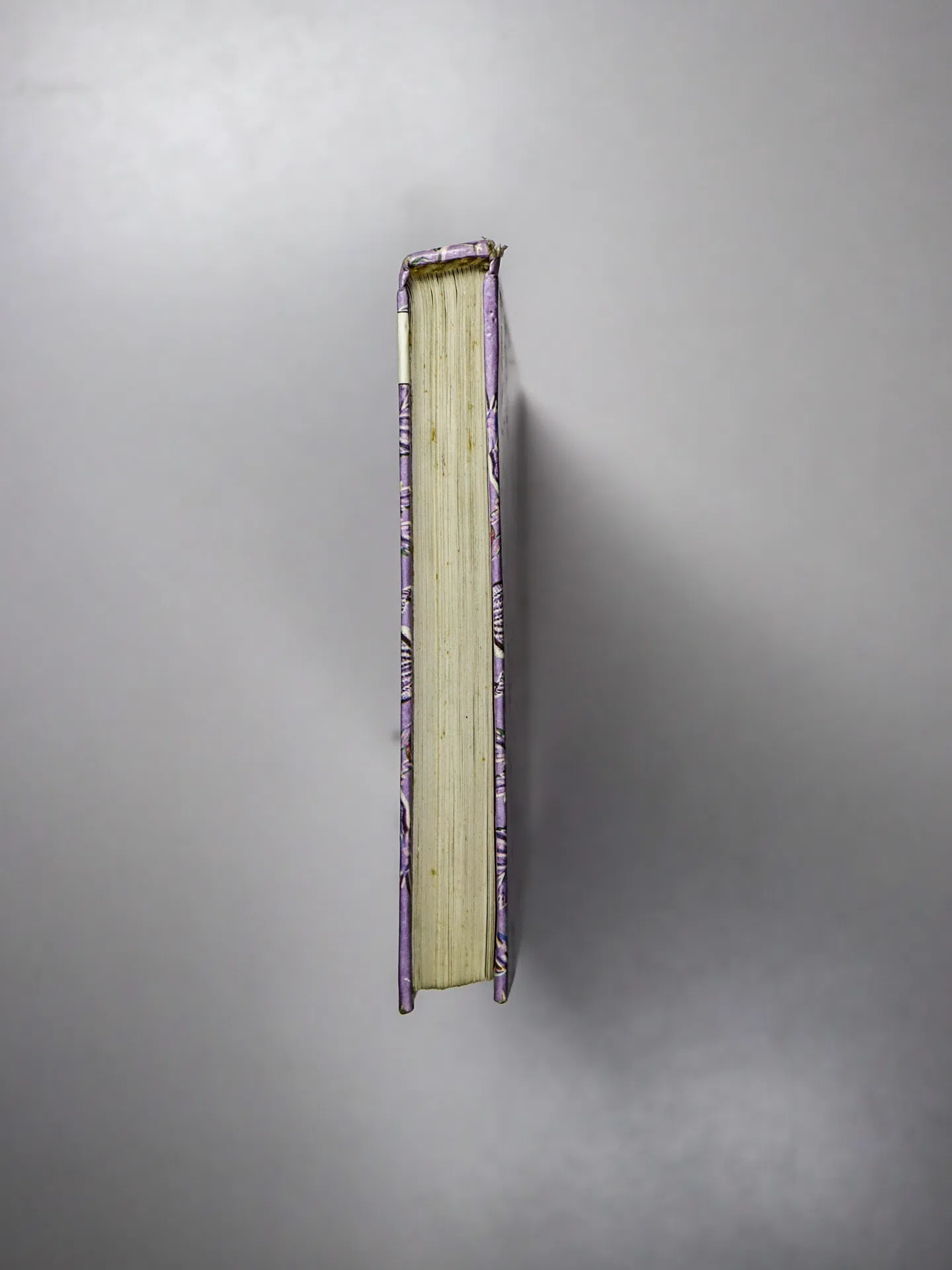 Беляев Д.К. Общая биология. 10–11 классы