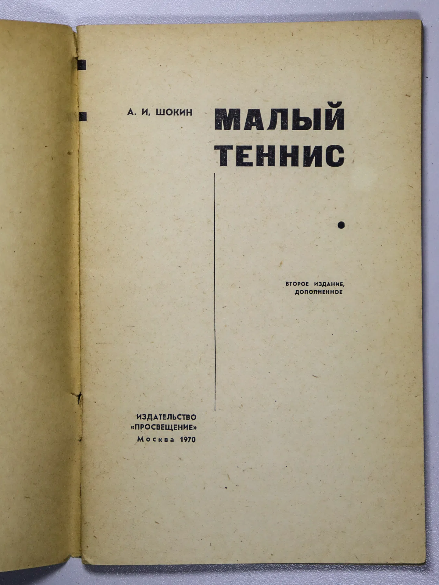 Шокин Александр Иванович. Малый теннис