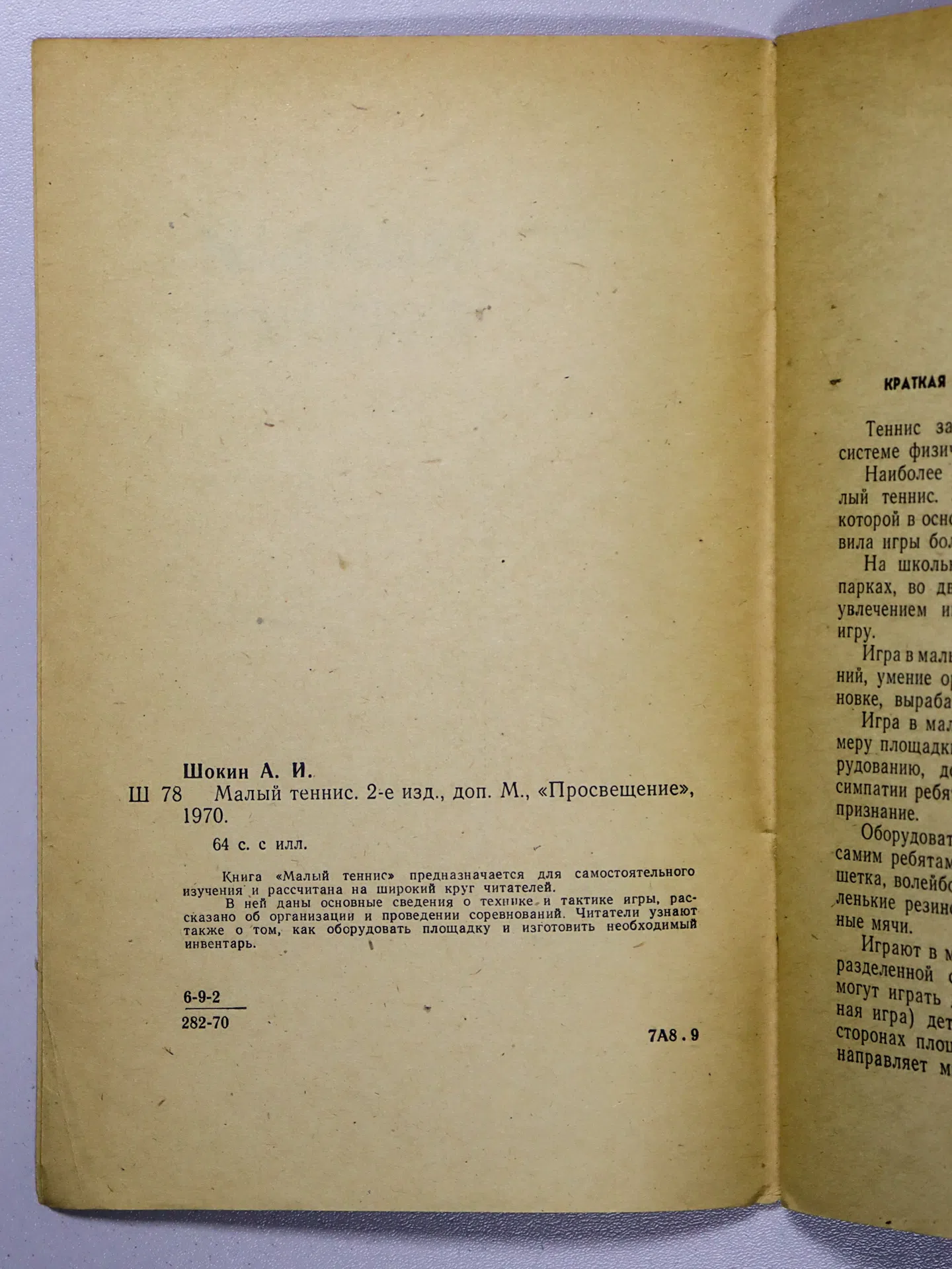 Шокин Александр Иванович. Малый теннис