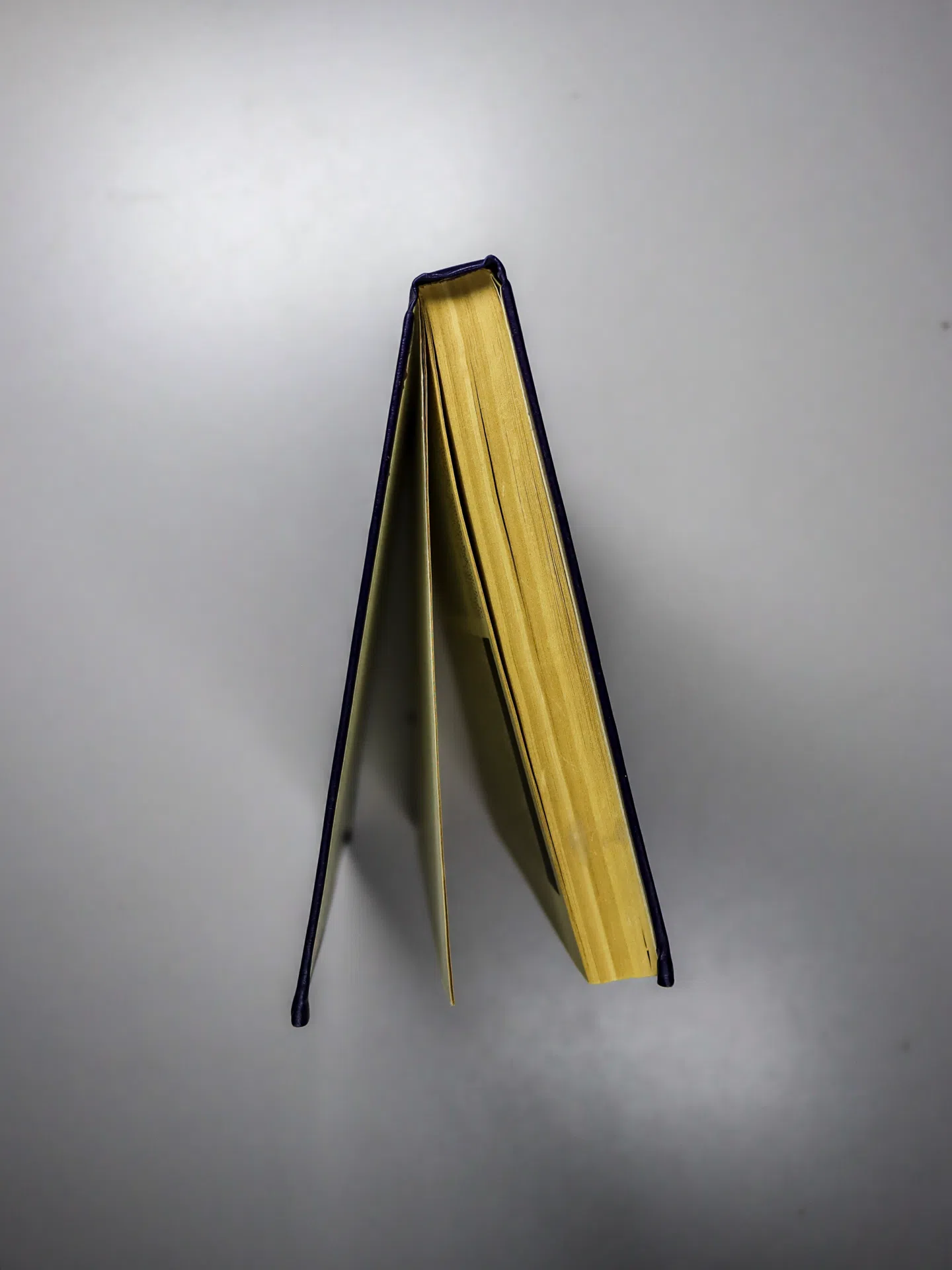 Суорц Кл. Э. Необыкновенная физика обыкновенных явлений. Том 2