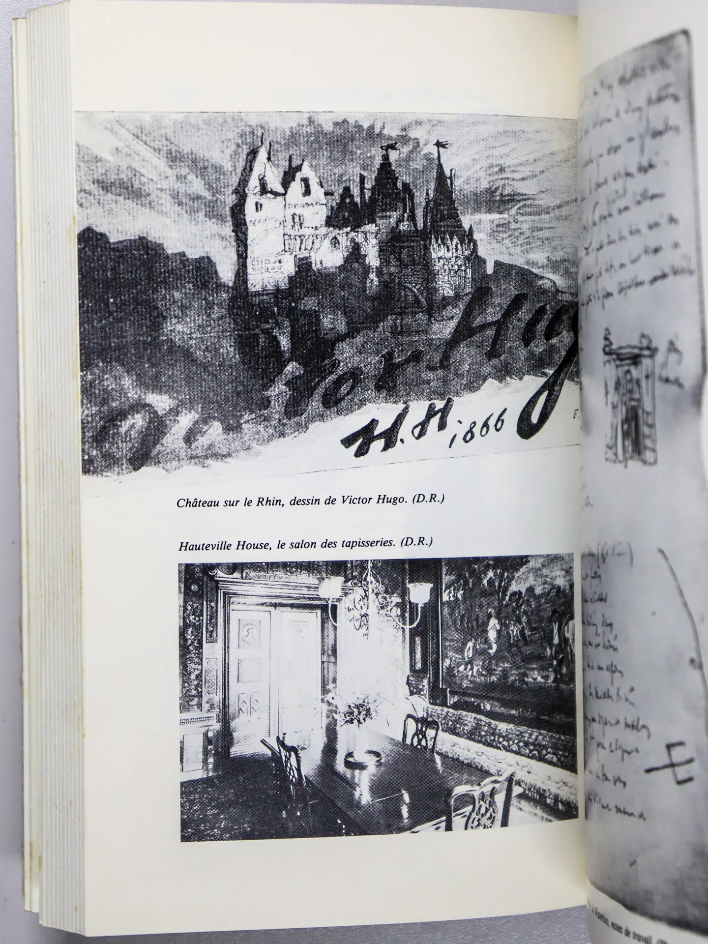Gamarra Pierre. La vie prodigieuse de Victor Hugo