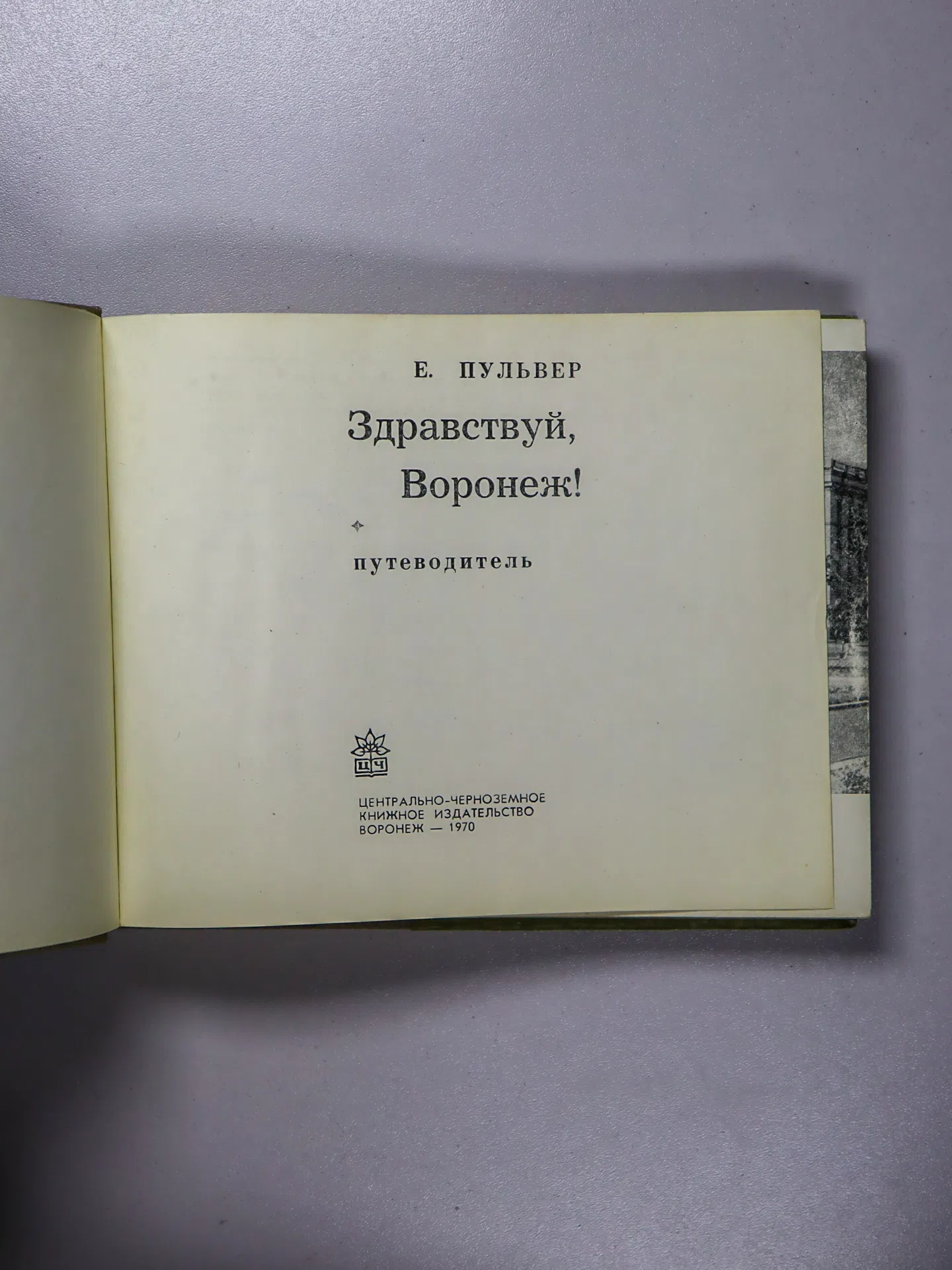 Пульвер Евгений Александрович. Здравствуй, Воронеж! Путеводитель