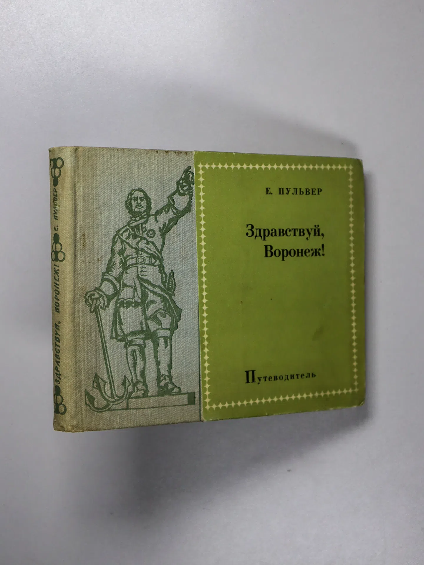 Пульвер Евгений Александрович. Здравствуй, Воронеж! Путеводитель