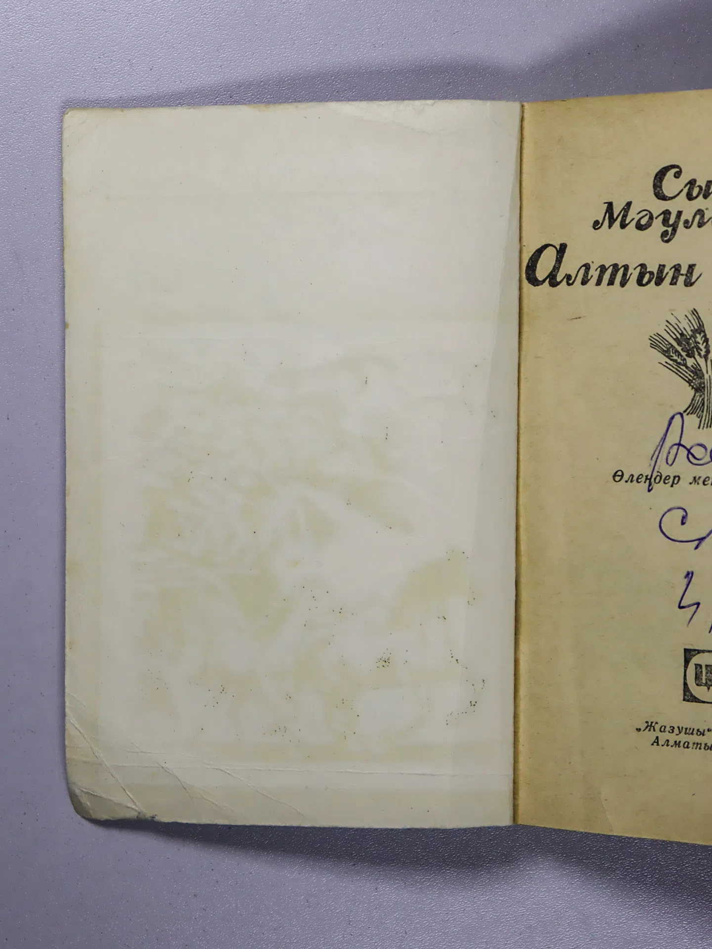 Мауленов Сырбай. Алтын тасқын