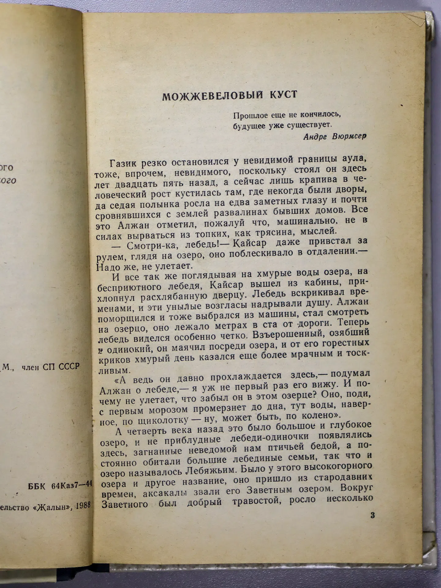 Мукаев Бакхожа. Белая птица