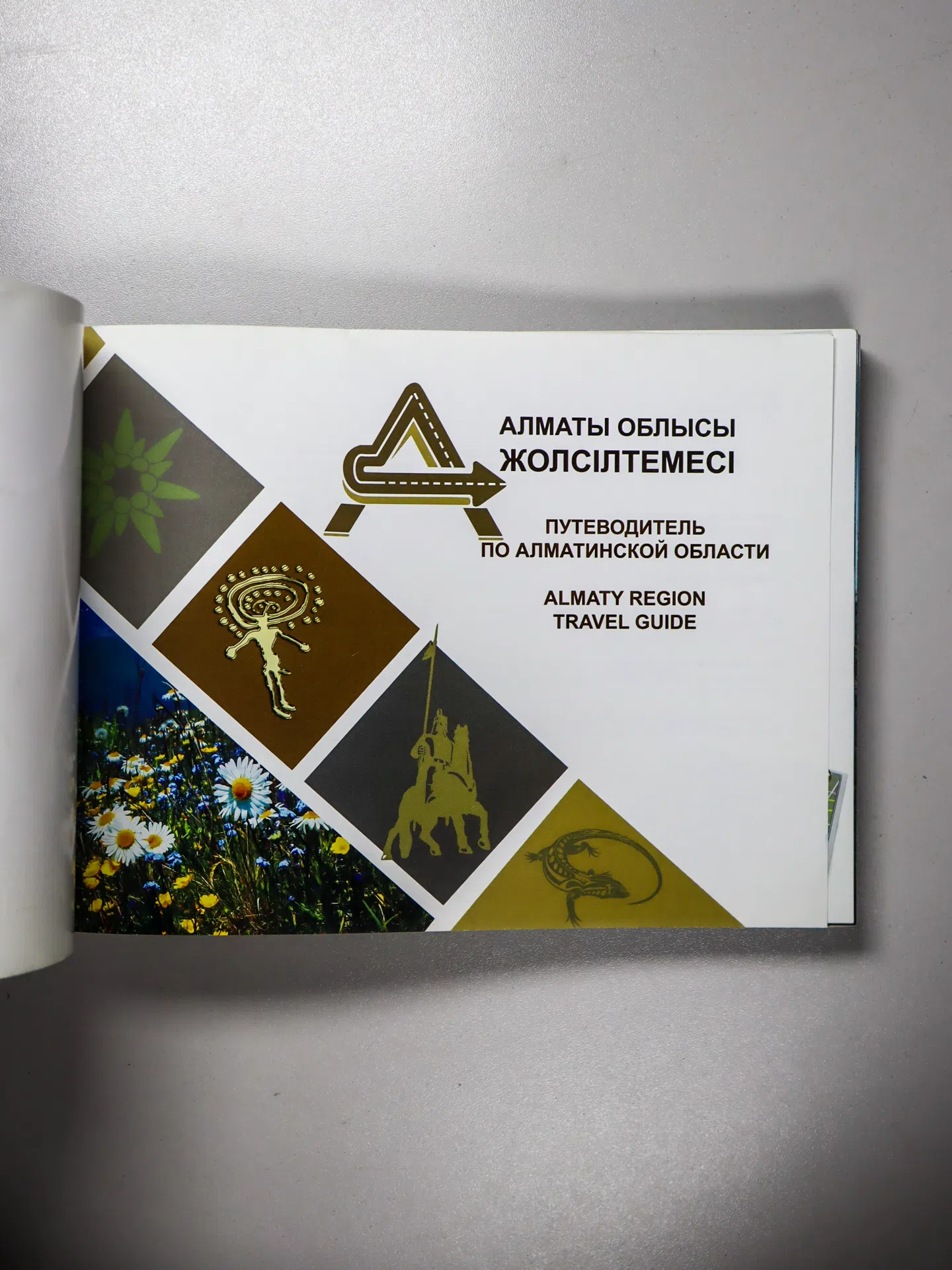Ахметов А. А., Поздеев А. Г., Бобров Р. Ф. Алматы облысы жолсілтемесі. Путеводитель по Алматинской области. Almaty Regio