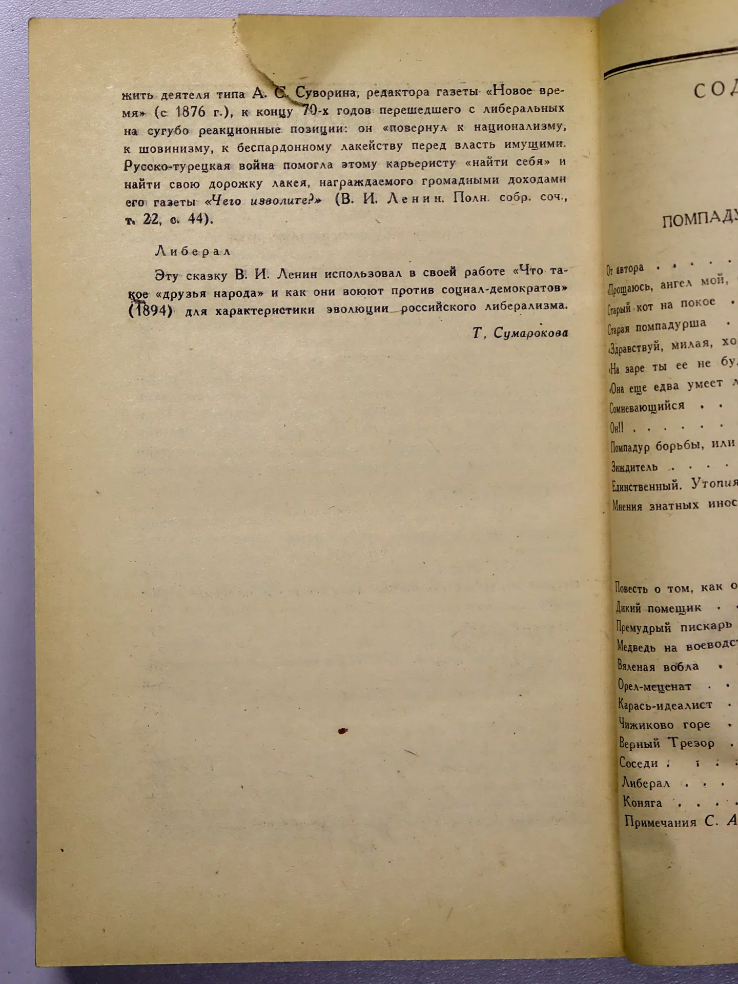 Салтыков-Щедрин Михаил Евграфович. Помпадуры и помпадурши. Сказки