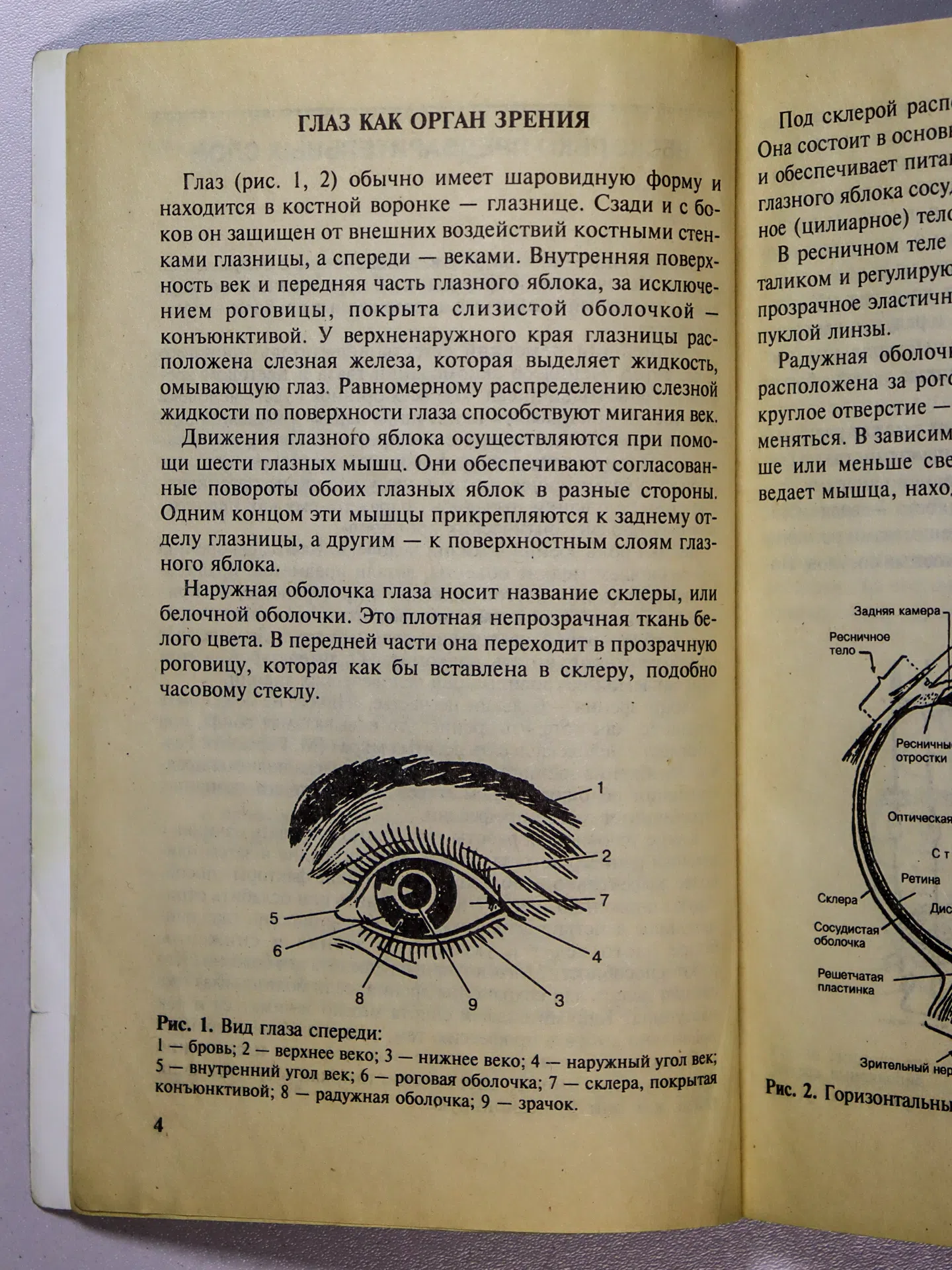 Аветисов Эдуард Сергеевич. Как беречь зрение