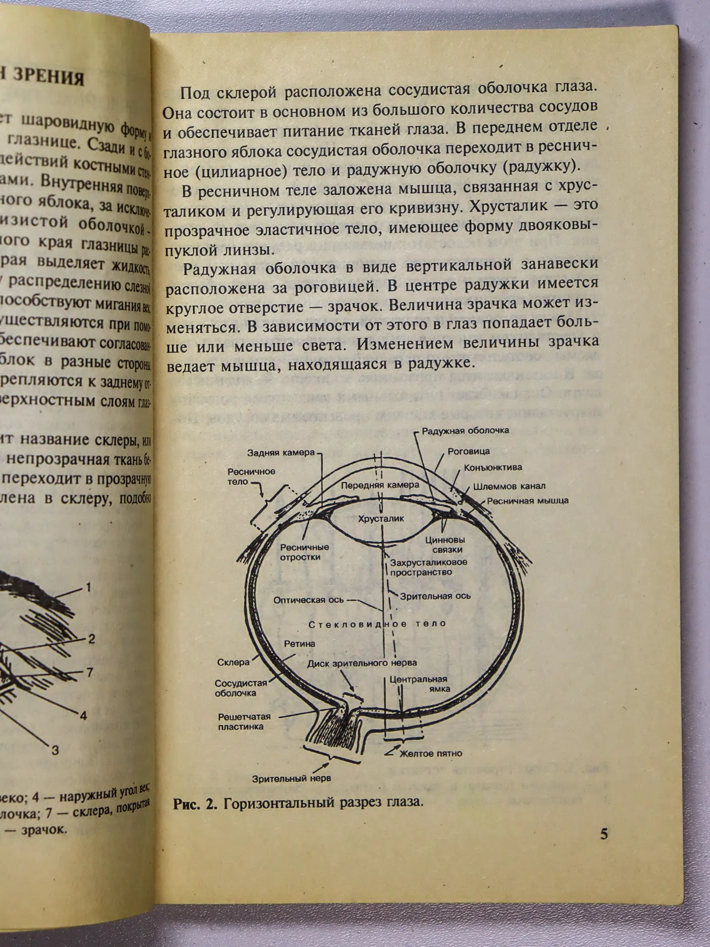 Аветисов Эдуард Сергеевич. Как беречь зрение