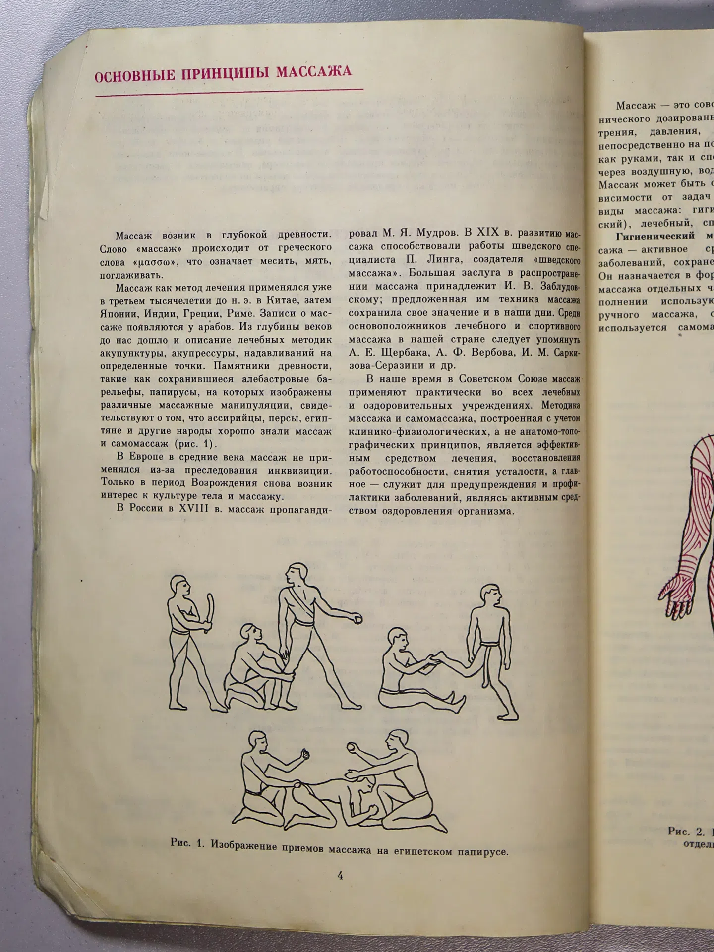 Васичкин Владимир Иванович. Справочник по массажу