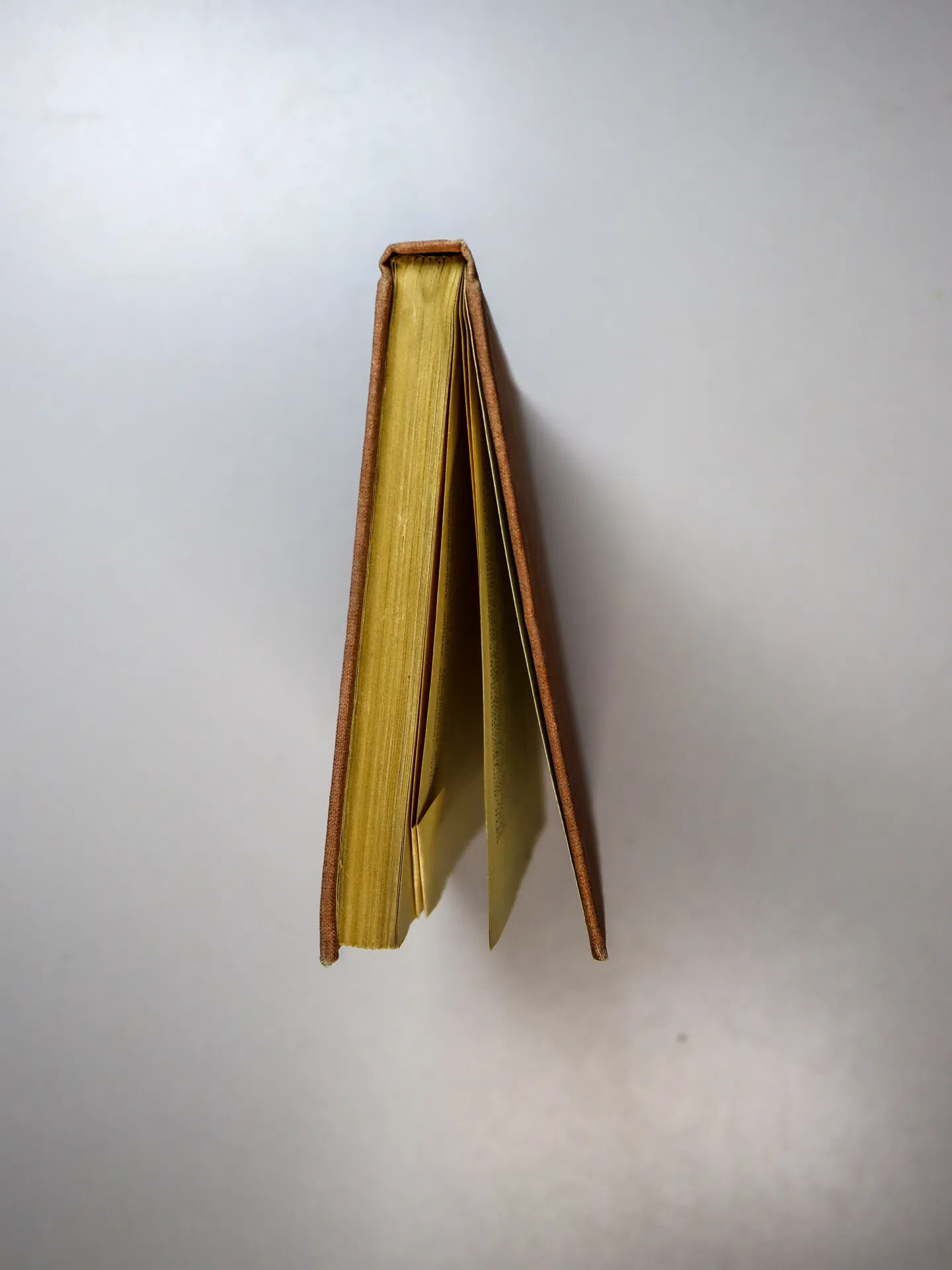 Бокщанин Ю. Р., Квятковская А. П., Лашманов В. И., Сергеев В. В., Ходак В. М. Справочник мастера деревообработки