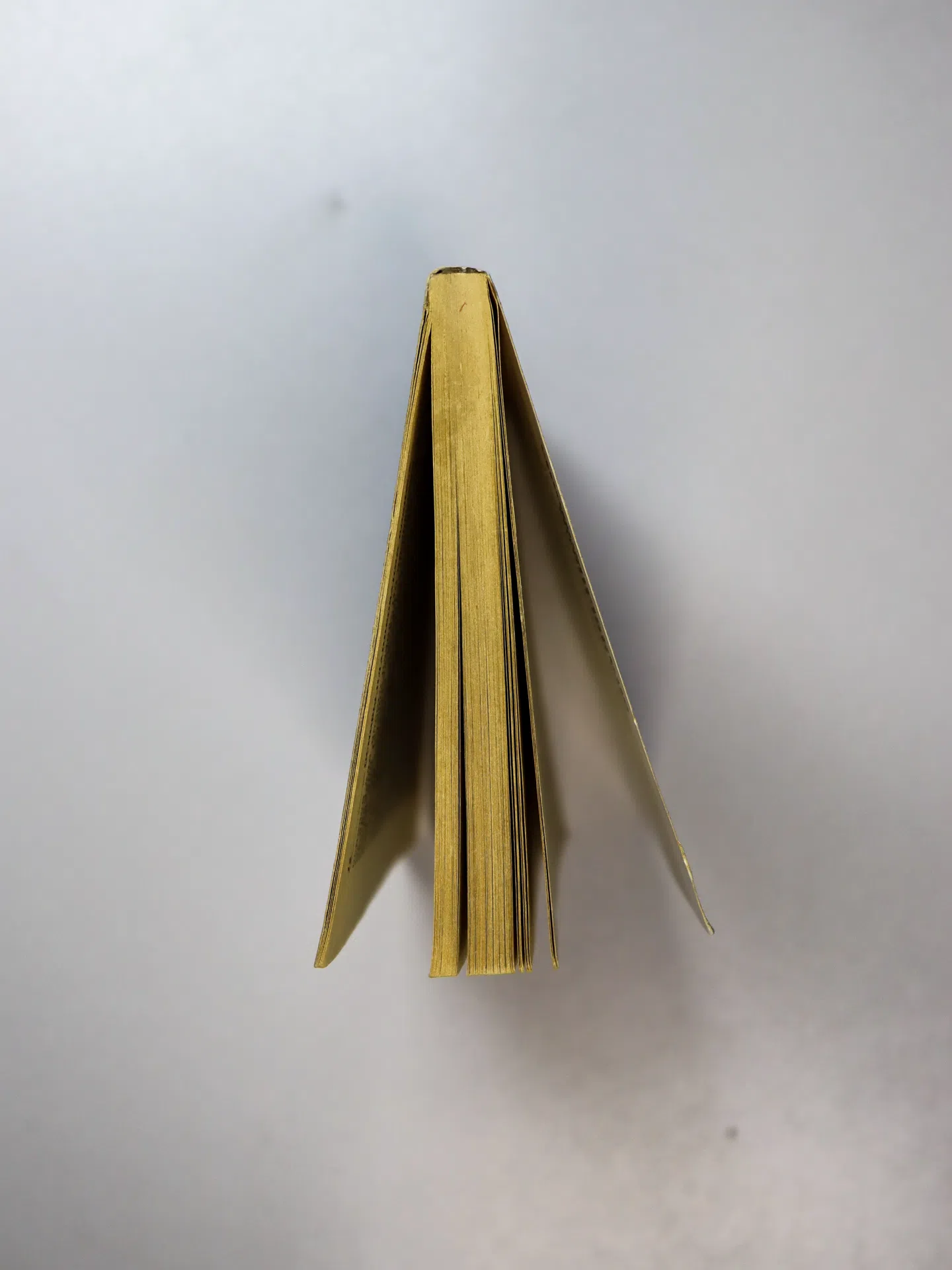 Зигель Э. С., Шульц Л. А., Форд Б. Р., Карни Д. С. Составление бизнес-плана