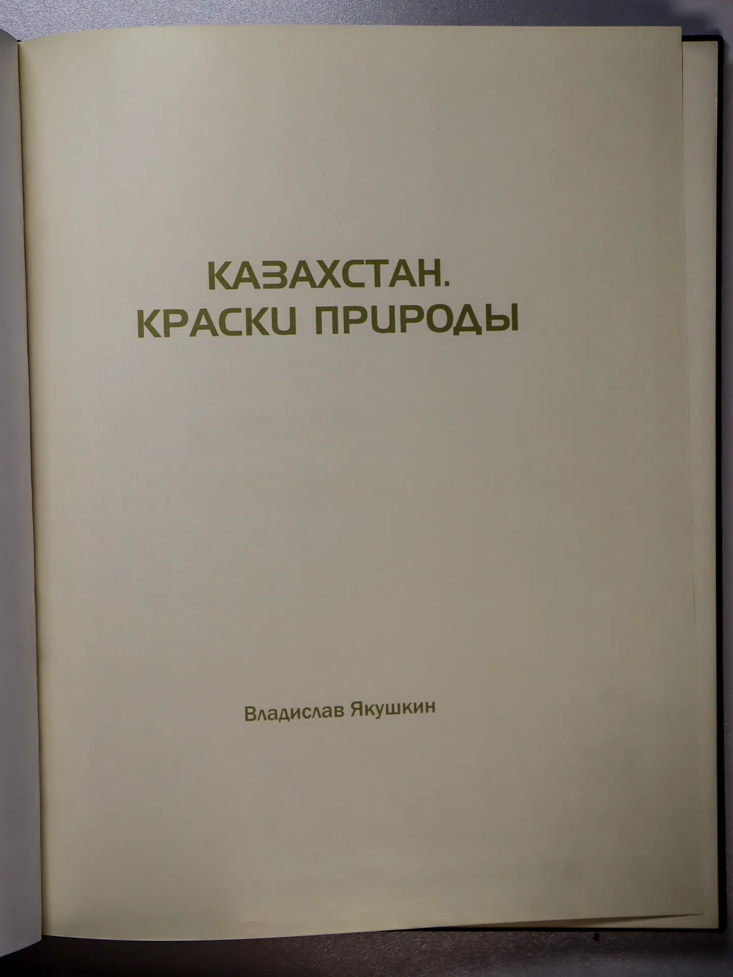 Якушкин Владислав. Казахстан. Краски природы