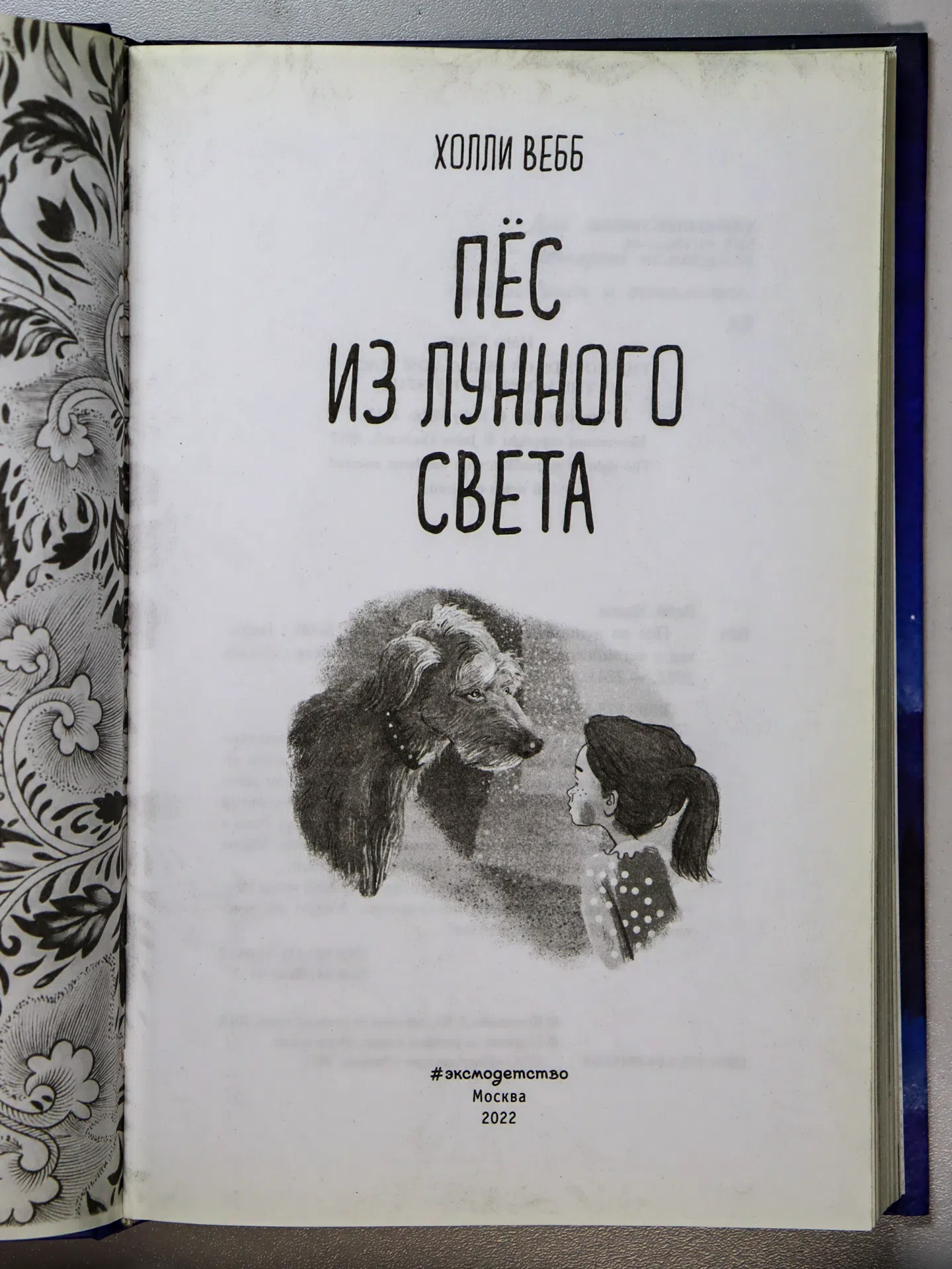 Вебб Холли. Пёс из лунного света