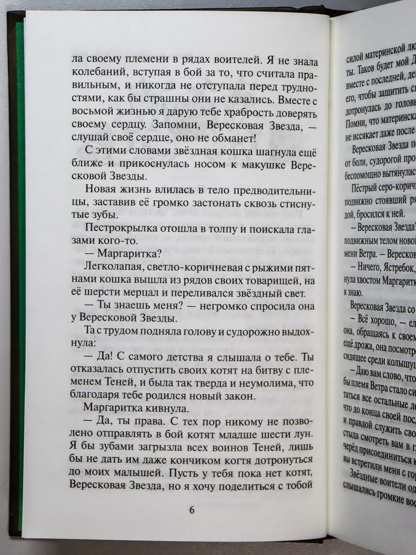 Хантер Эрин. Месть Звёздного Луча. Разлом