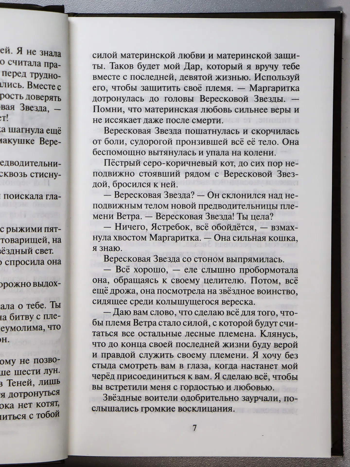 Хантер Эрин. Месть Звёздного Луча. Разлом