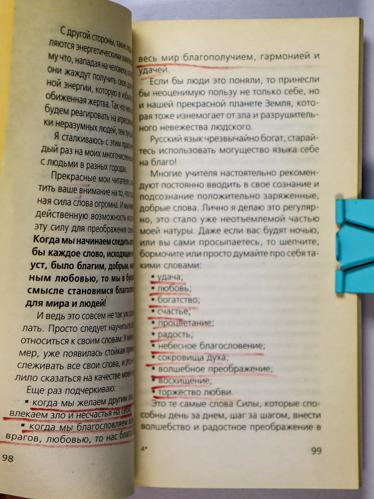 Правдина Наталия. Подарите себе успех!