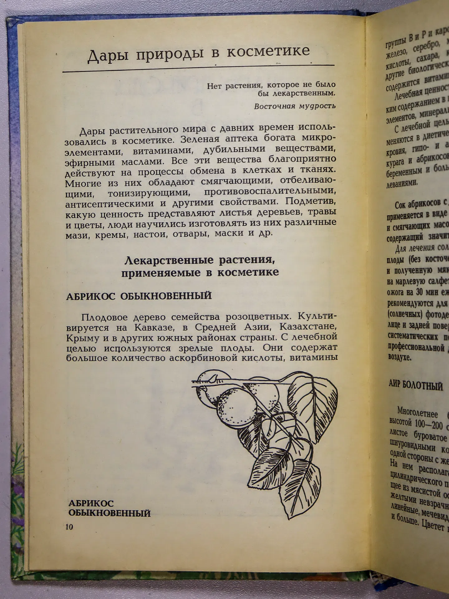 Агафонов Александр Васильевич. Косметика с грядок и полей
