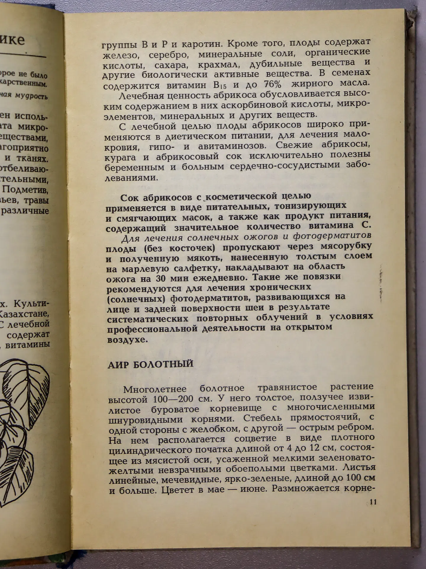 Агафонов Александр Васильевич. Косметика с грядок и полей