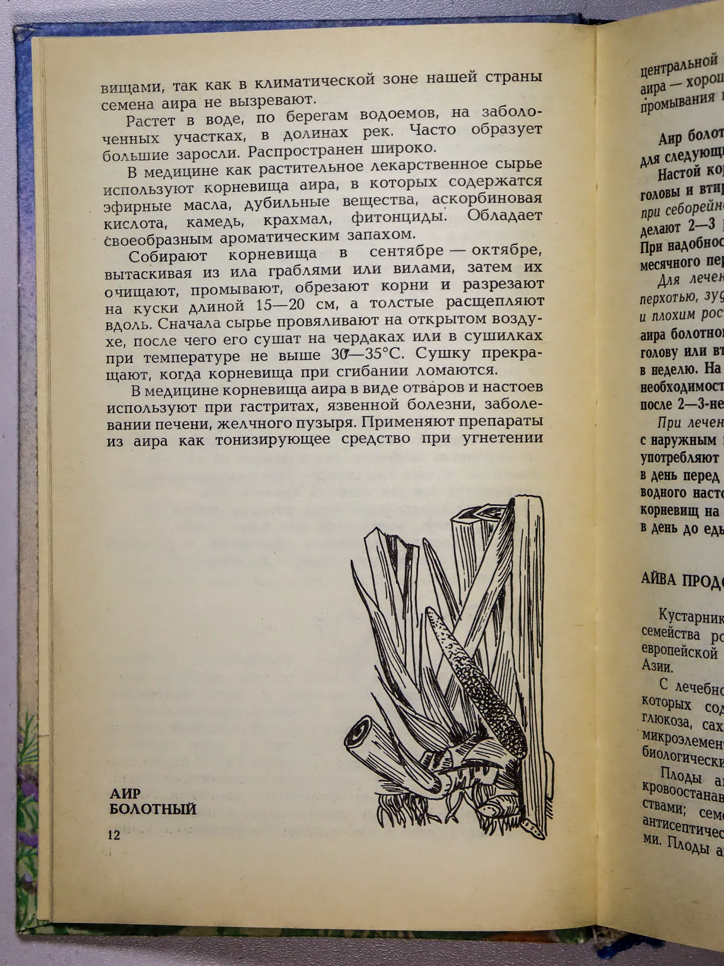 Агафонов Александр Васильевич. Косметика с грядок и полей