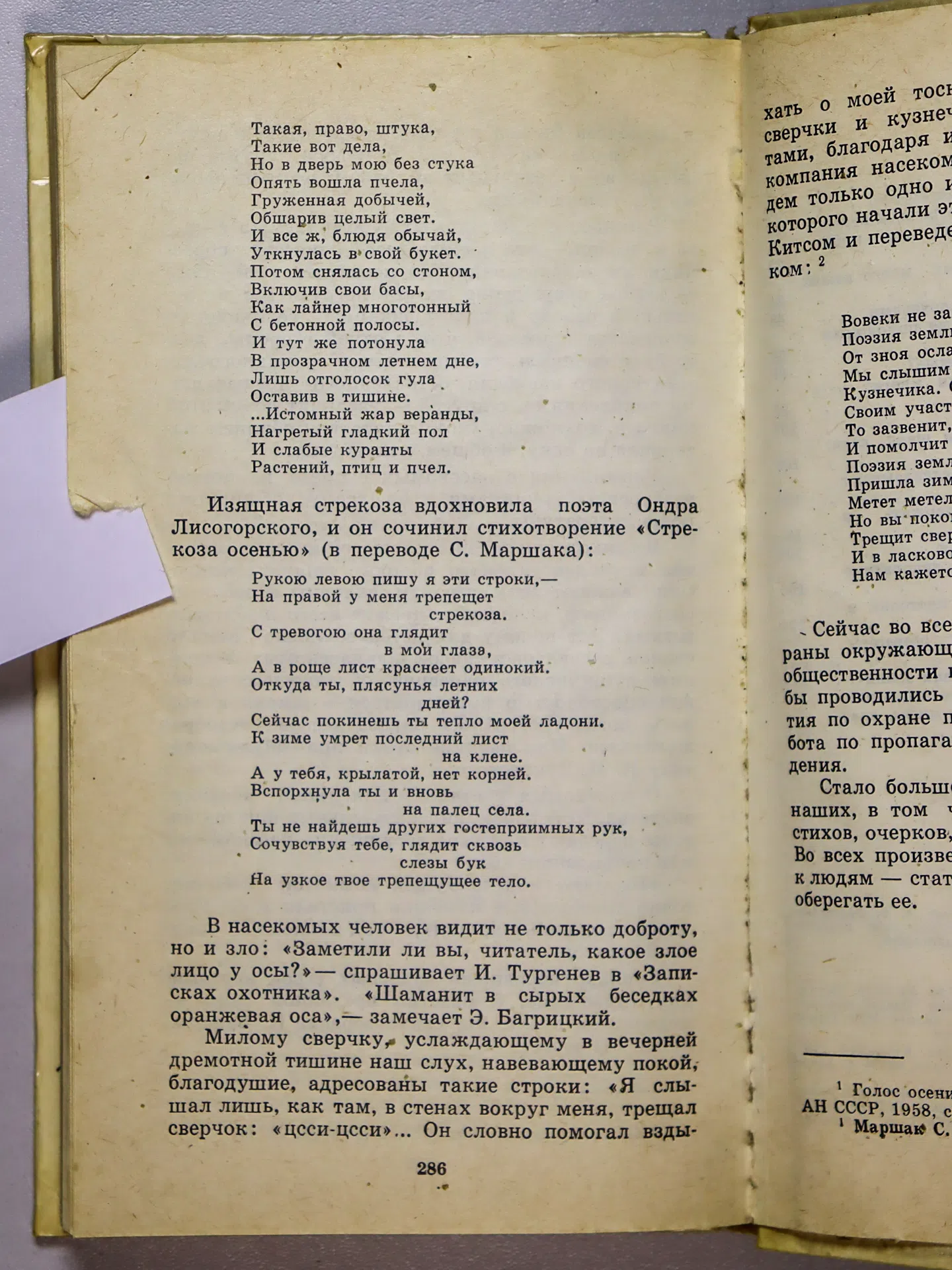 Мариковский Павел Иустинович. Насекомые вокруг нас