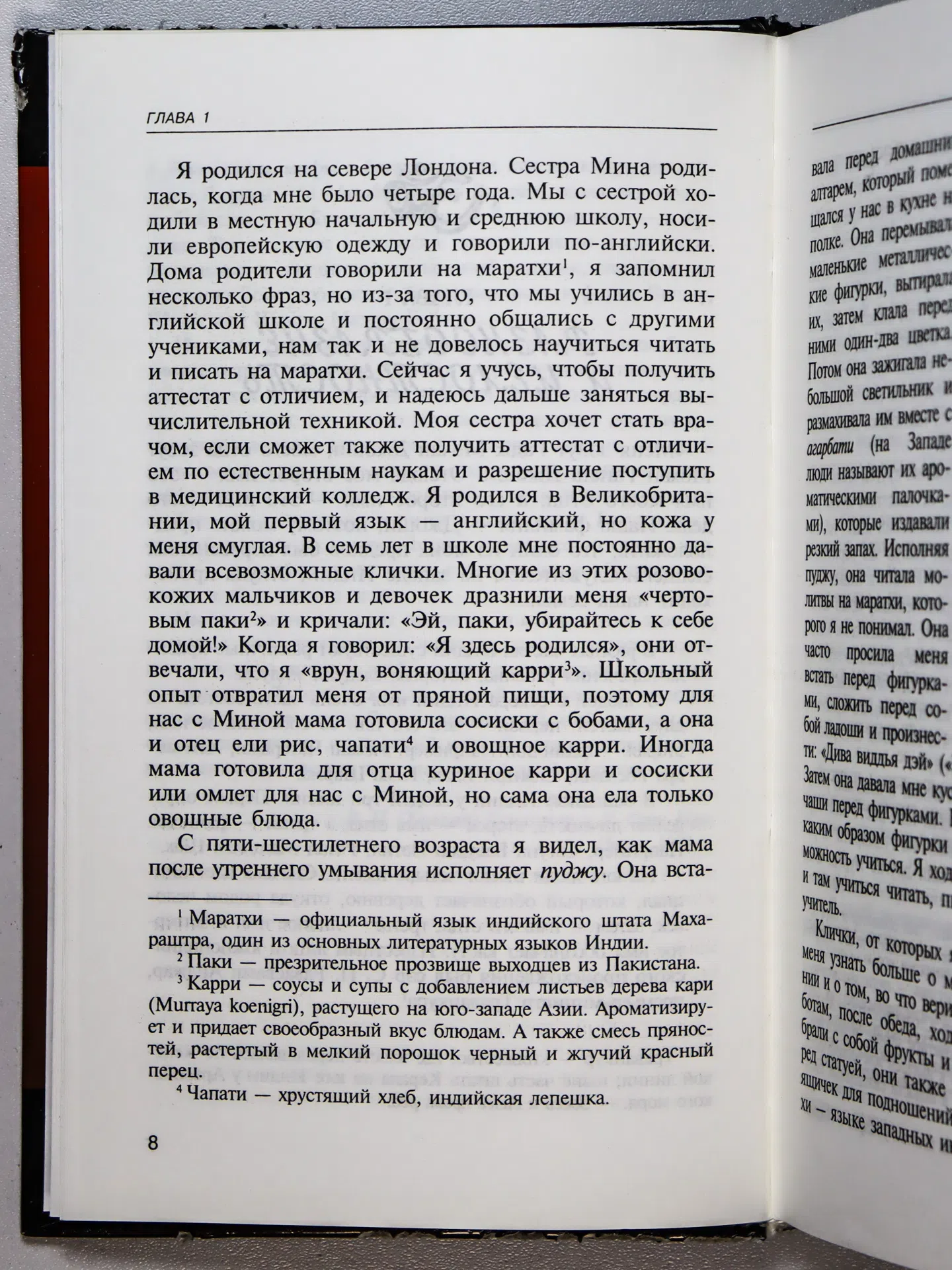 Каниткар Хемант, Коул У. Оуэн. Индуизм