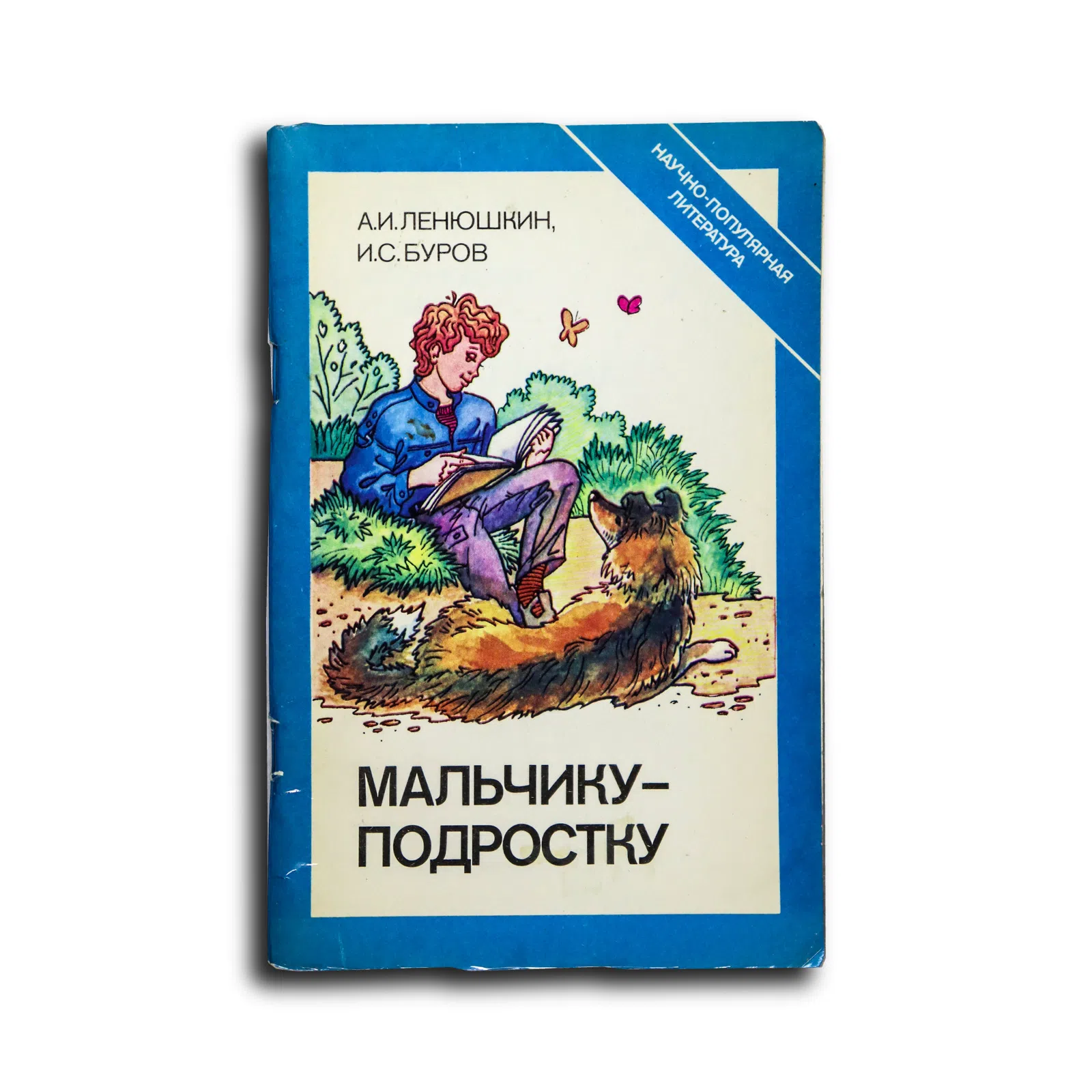 Ленюшкин Алексей Иванович, Буров Игорь Сергеевич. Мальчику-подростку