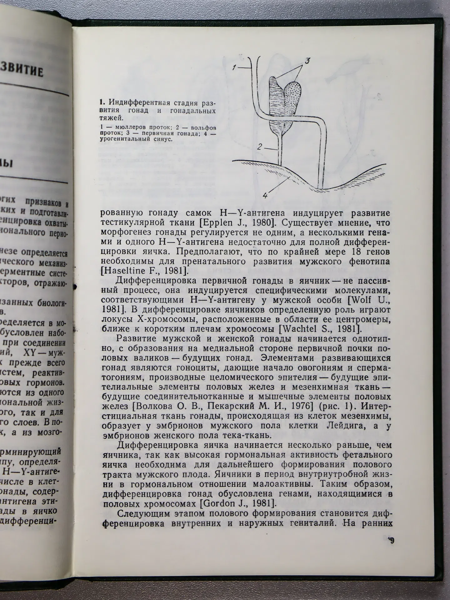 Жуковский М. А., Лебедев Н. Б., Семичева Т. В., Чхеидзе Л. В., Хайсман А. Е. Нарушения полового развития