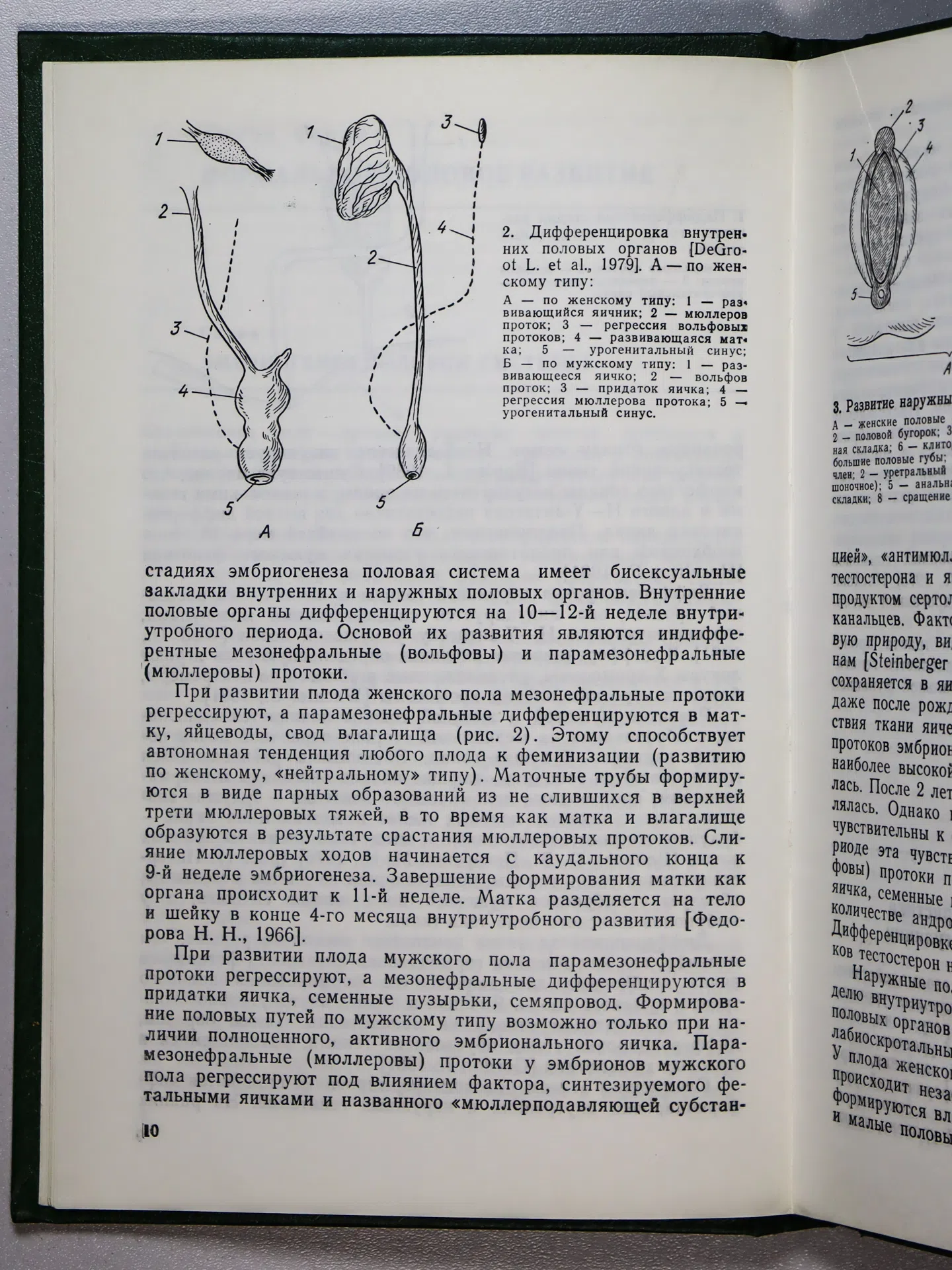 Жуковский М. А., Лебедев Н. Б., Семичева Т. В., Чхеидзе Л. В., Хайсман А. Е. Нарушения полового развития