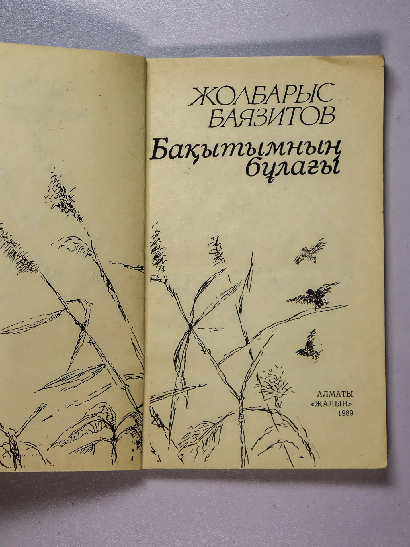 Баязитов Жолбарыс. Бақытымның бұлағы
