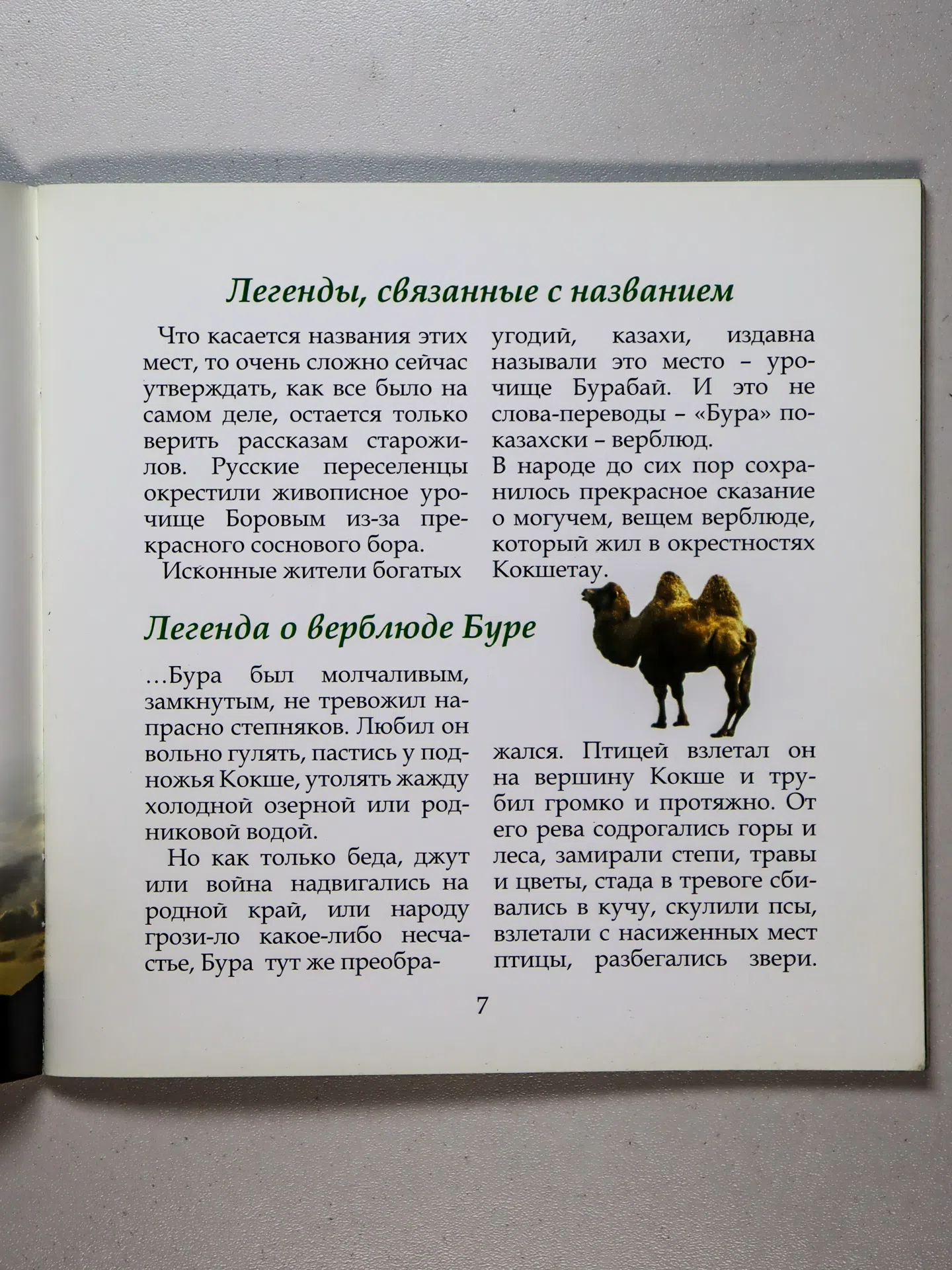 Гусева Людмила Анатольевна. Легенды урочища Бурабай