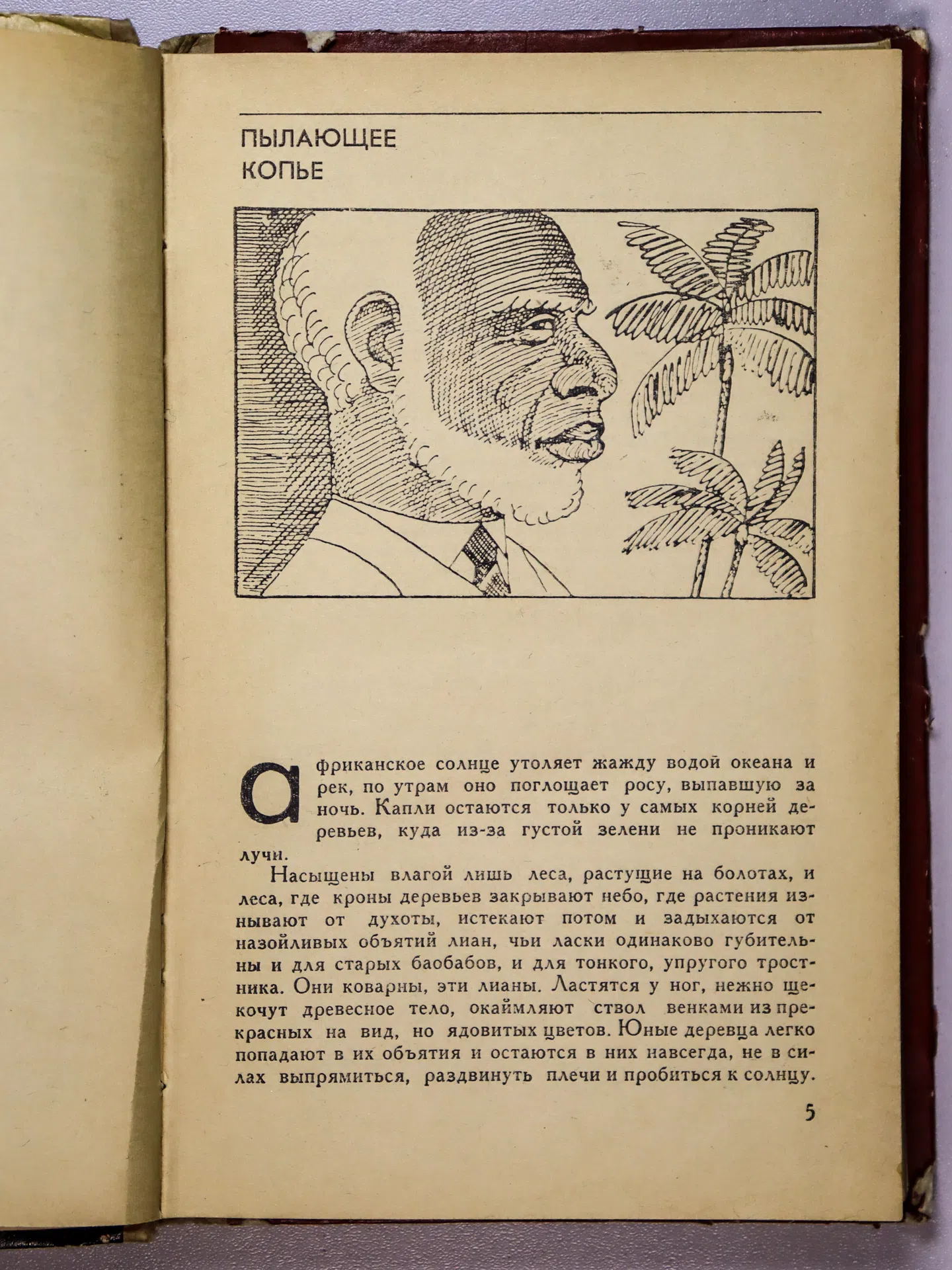 Алимжанов Ануар. Пылающее копье