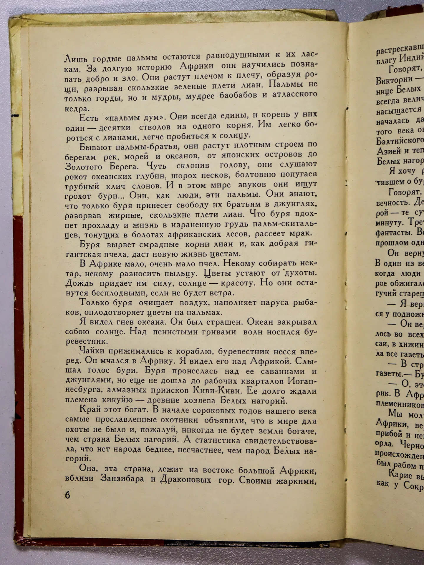 Алимжанов Ануар. Пылающее копье