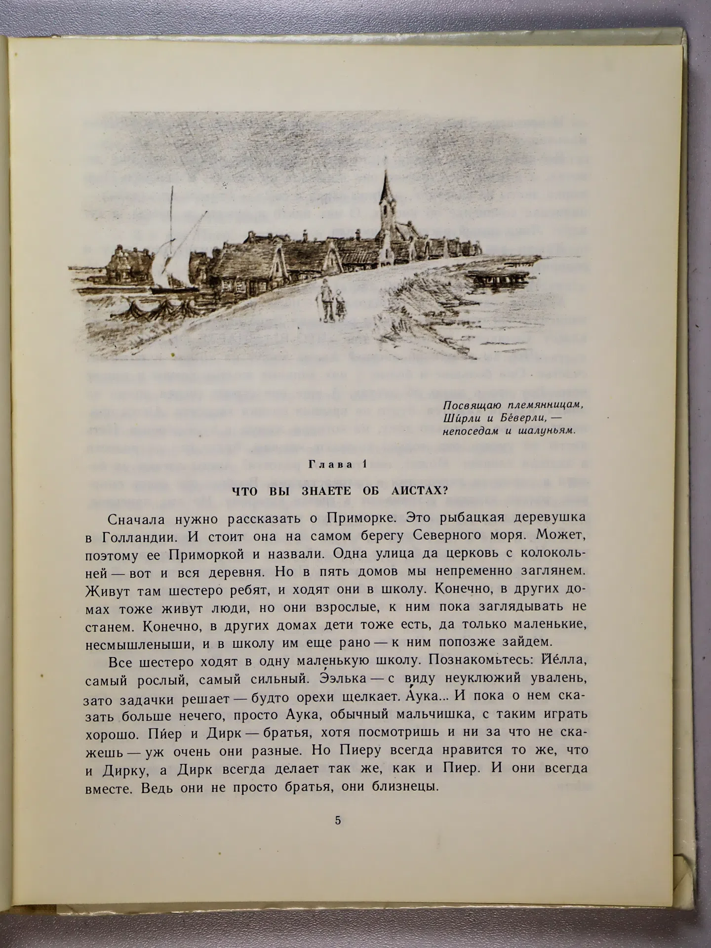 Дейонг Мейндерт. Колесо на крыше
