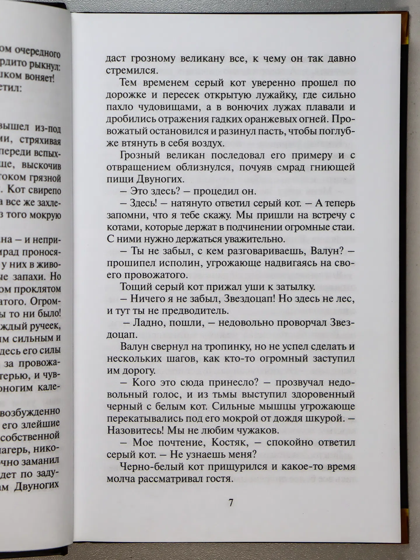 Хантер Эрин. Битва за лес