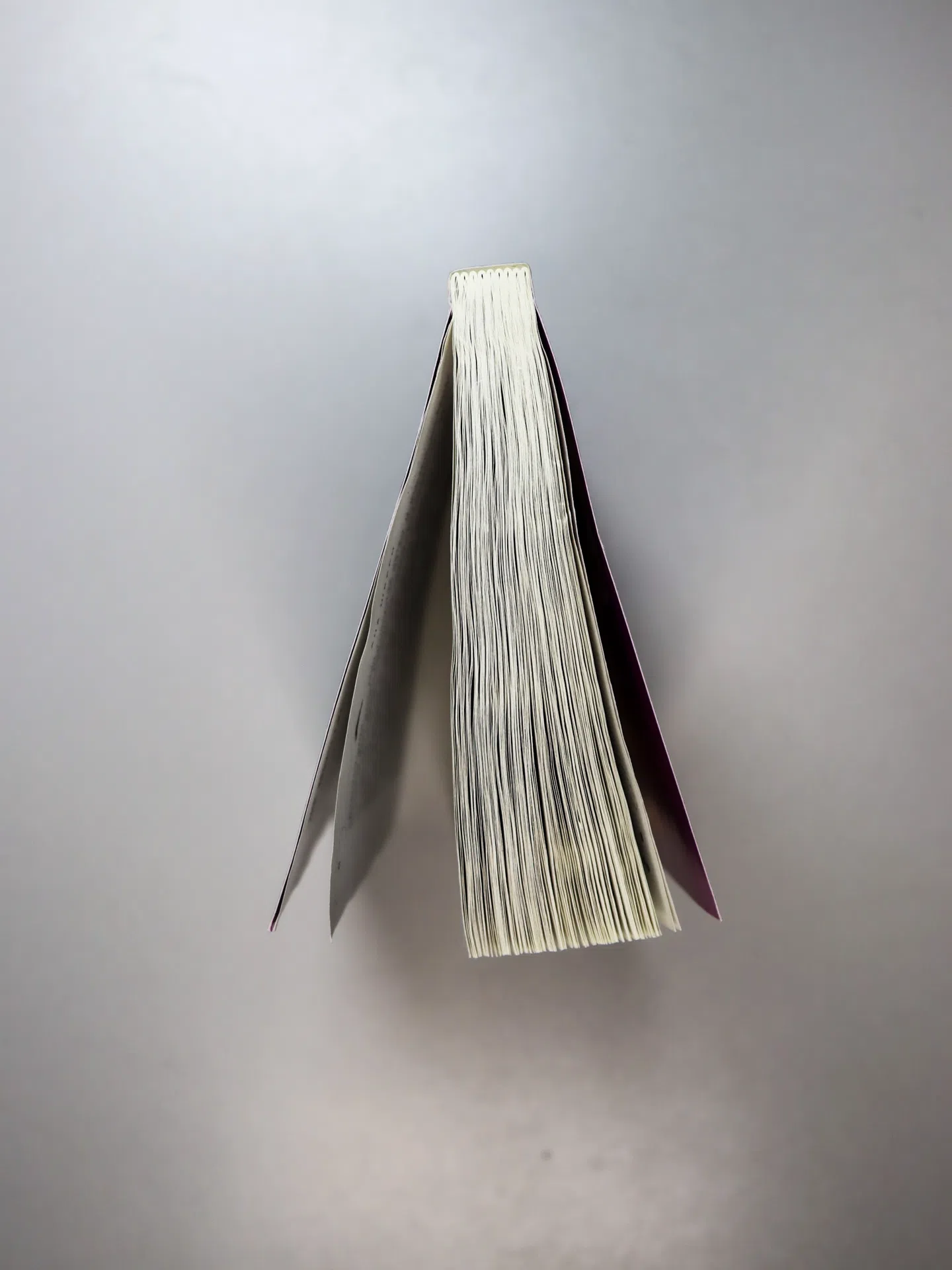 Шерри Ана. Хрупкое равновесие. Книга 1