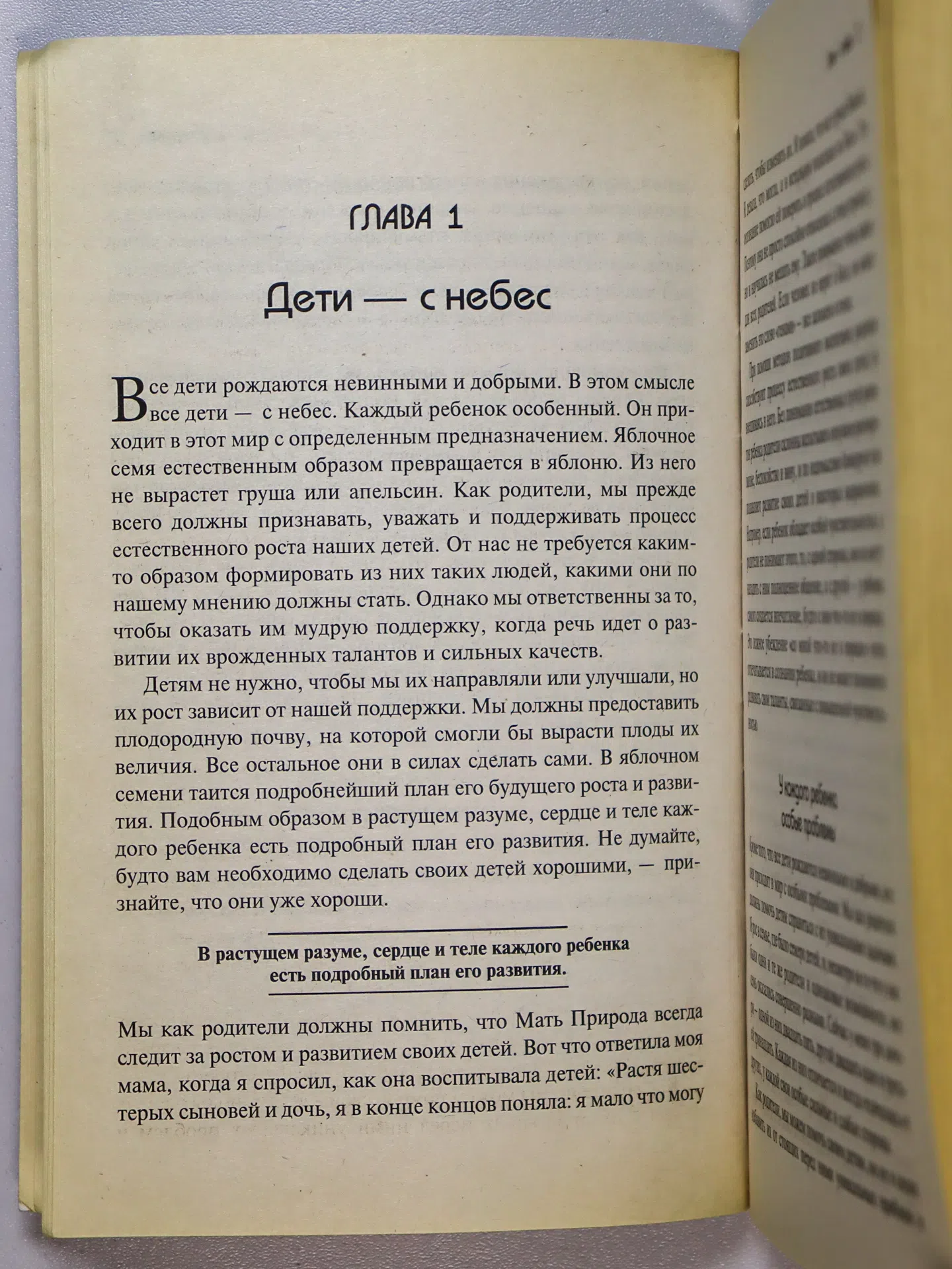 Грэй Джон. Дети — с небес. Уроки воспитания. Как развить в ребенке дух сотрудничества, отзывчивость и уверенность в себе