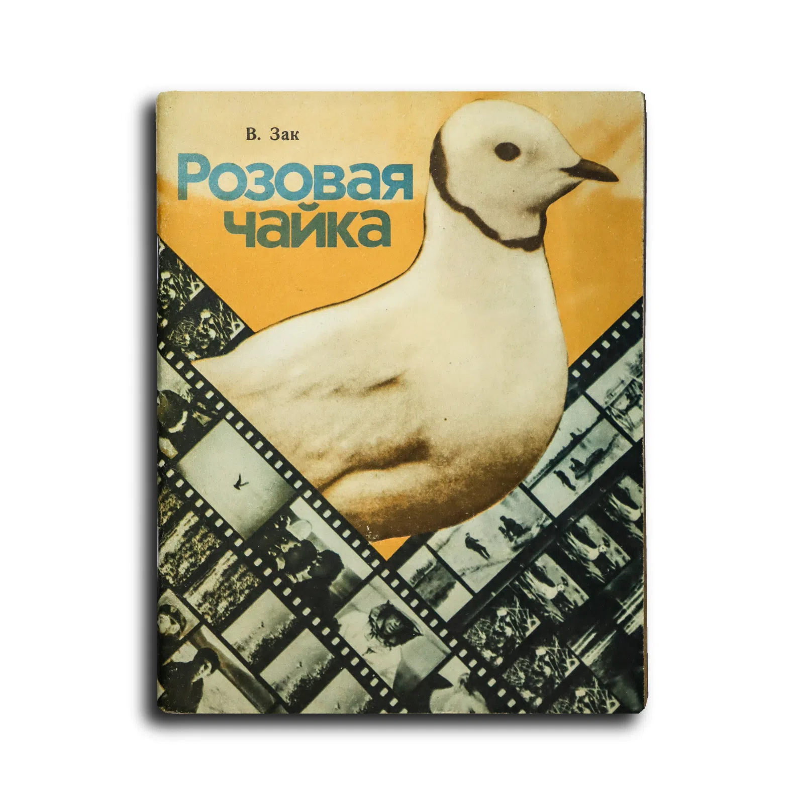 Зак Виктор Григорьевич. Розовая чайка. Два путешествия на Индигирку. Записки кинорежиссера