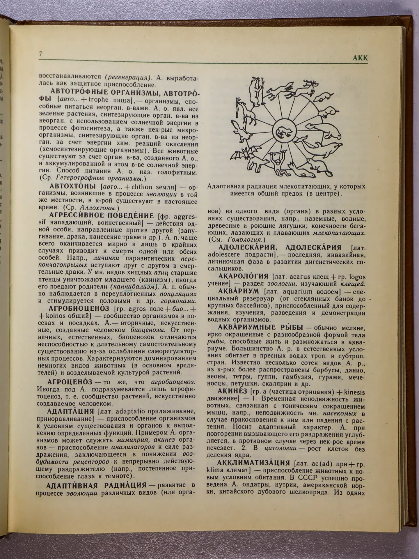 Крапивный А. П., Радкевич В. А., Тихонова Н. И. Краткий зоологический словарь